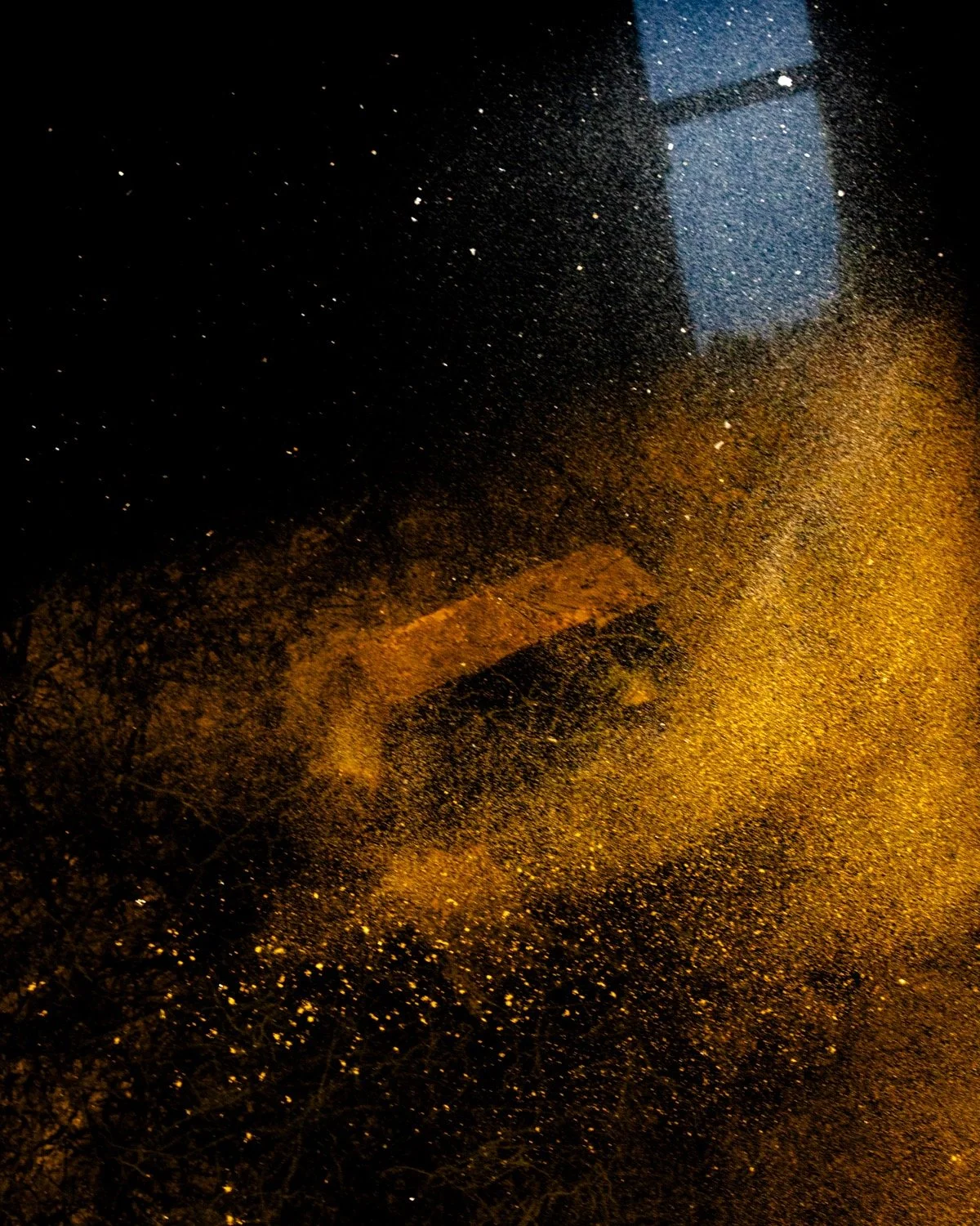 Thrilled to be included in the &quot;elsewhere&quot; online exhibition at the @asmithgallery! Many thanks to @kevin.j.tully.3 for selecting my image Gold Dust. The exhibition will run until June 5th here: https://tinyurl.com/y7ehadvu. Also, many than