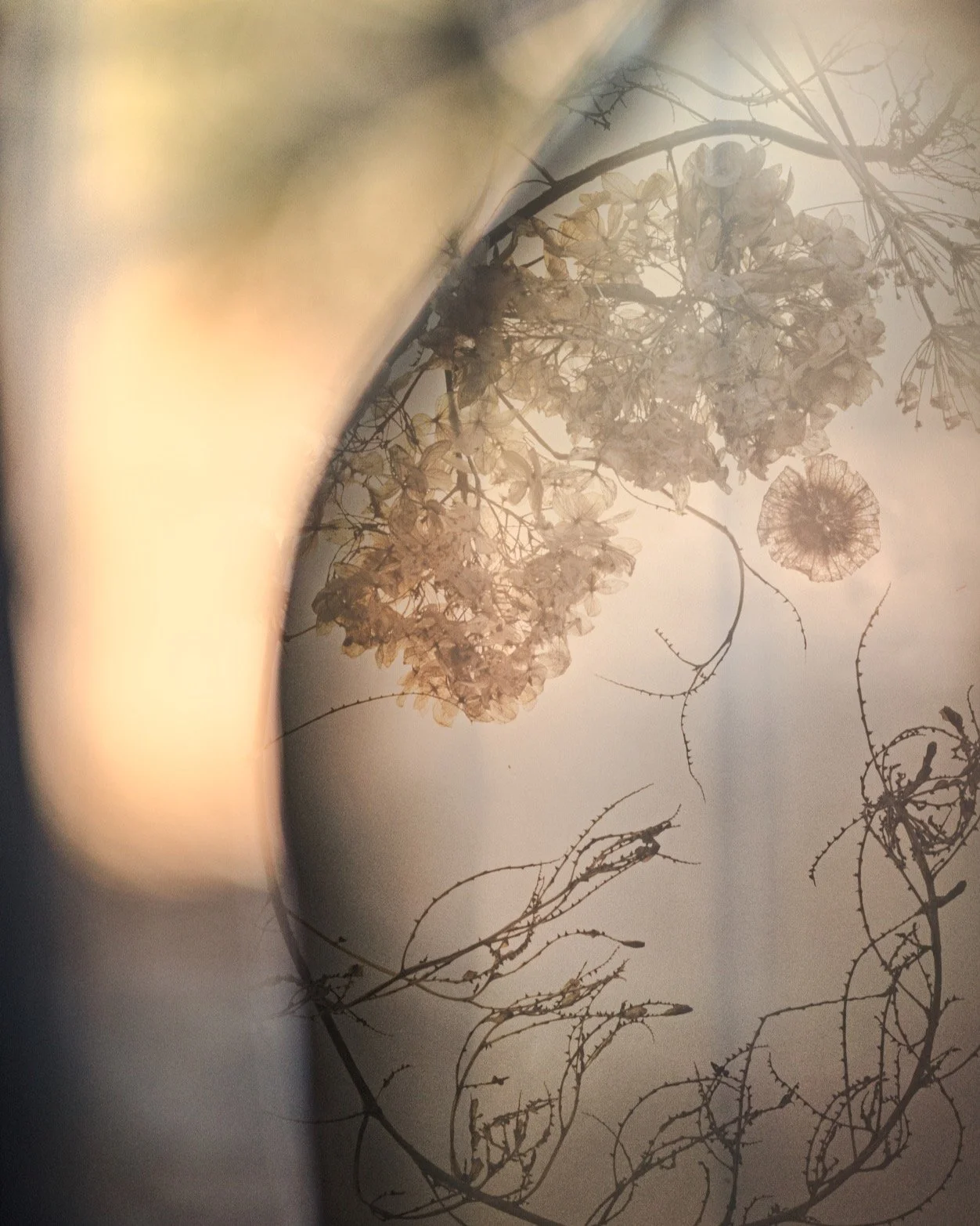 Whispers of Light; 2025 Vessels series