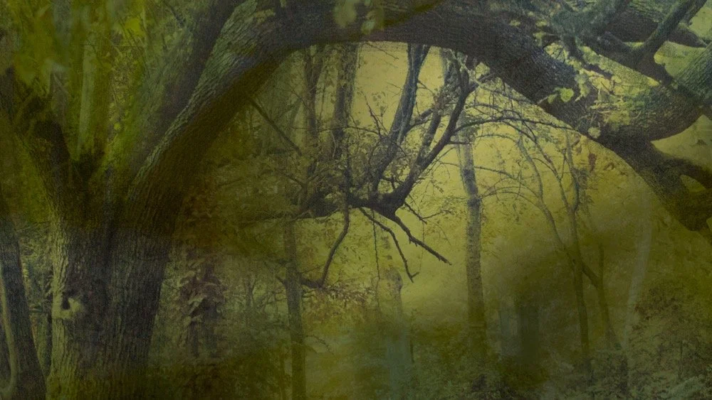 Happy St. Paddy's Day! The Leprechauns are lurking close by.