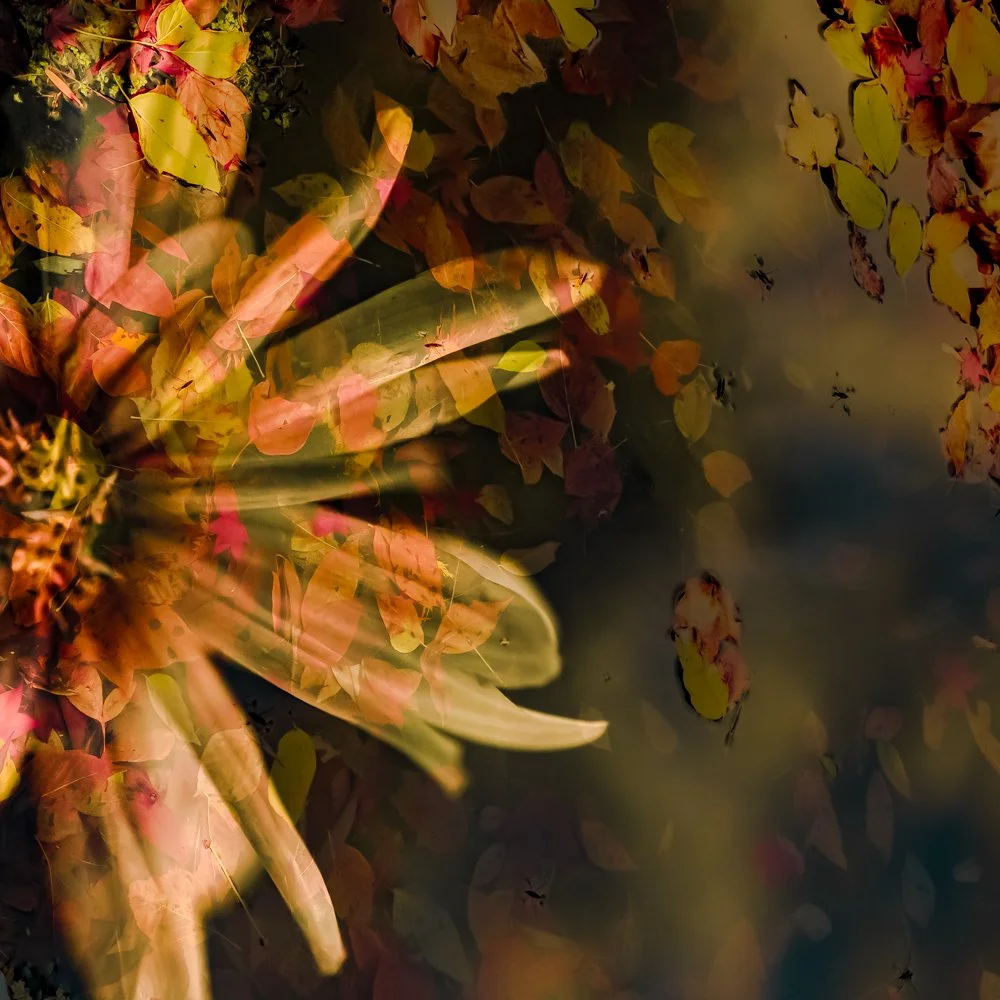 May your days be filled with peace and love. Merry Christmas and the happiest of holidays.