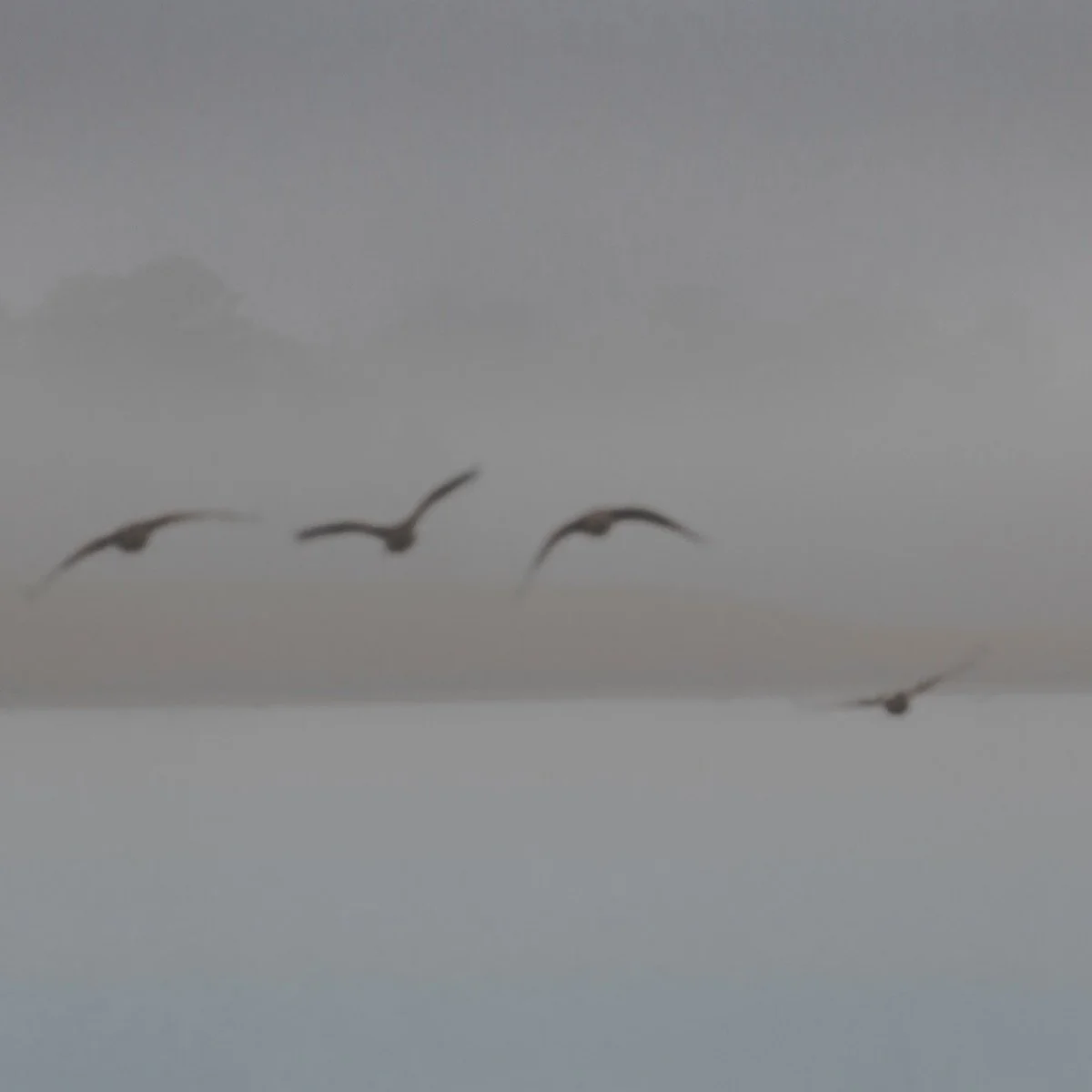 Finding refuge at Cooper Creek Park.