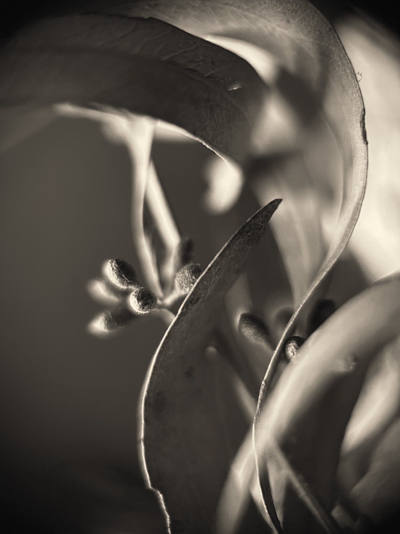 Image-8.jpg