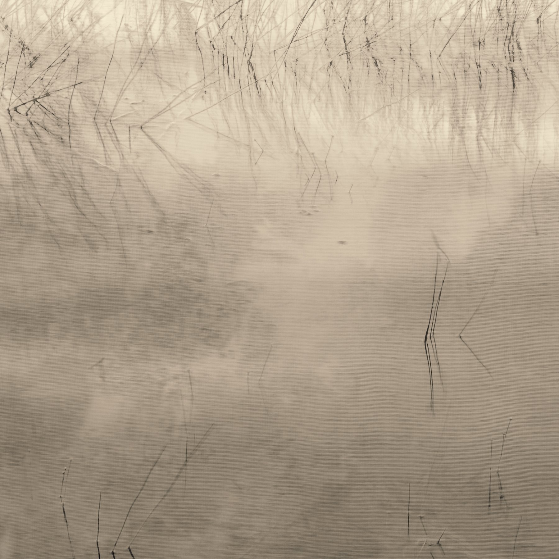 Image-5.jpg