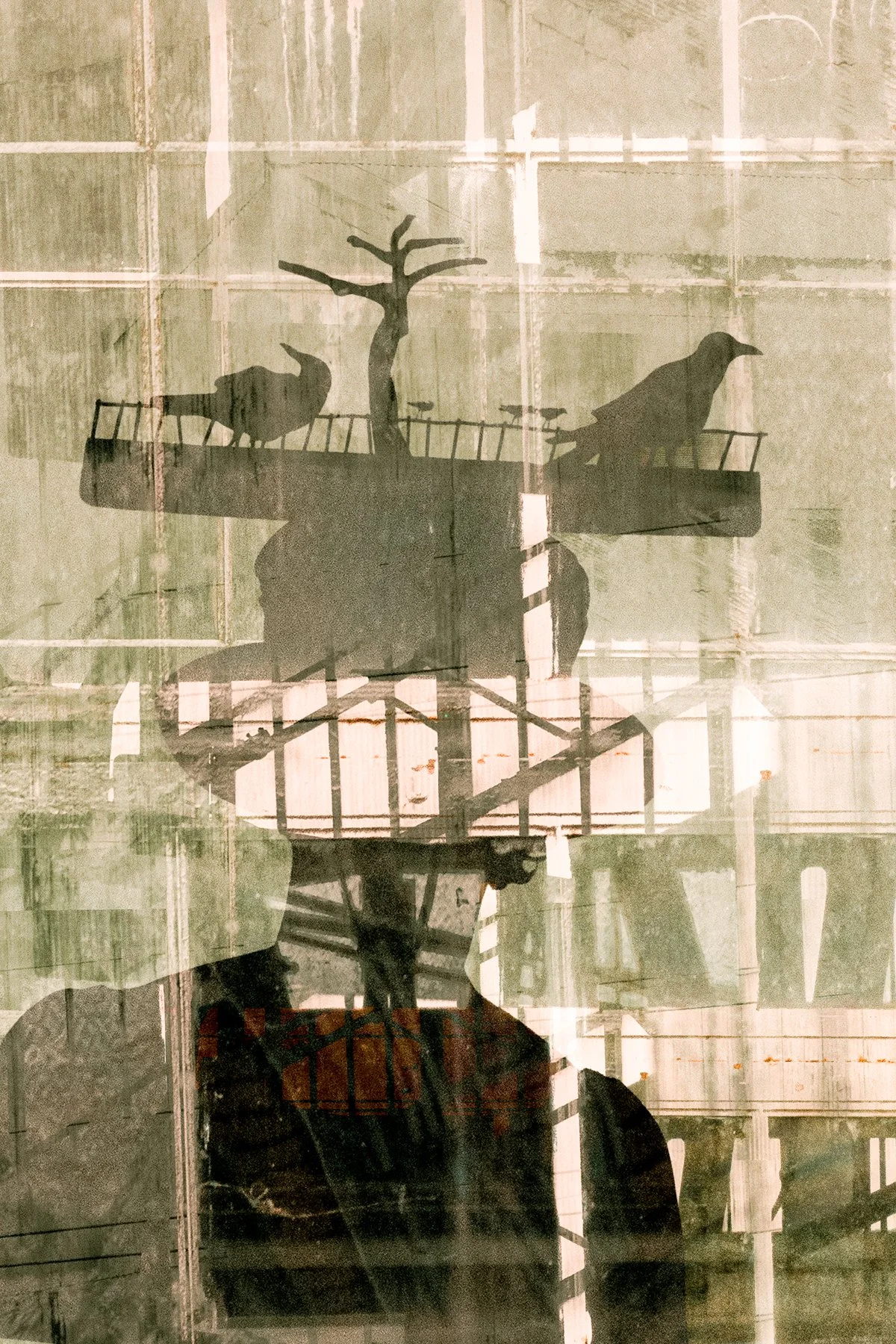 image-13.jpg