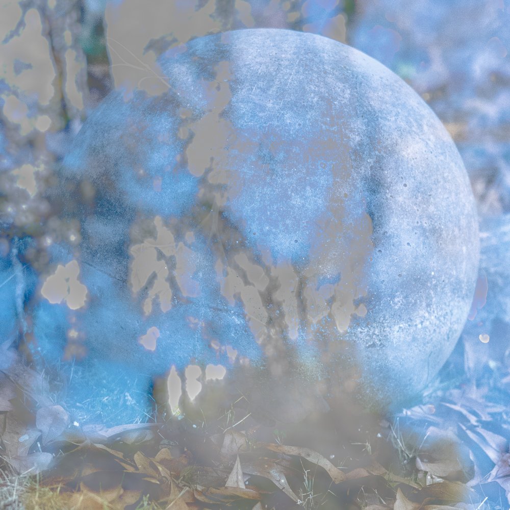 Motion Revised-8.jpg