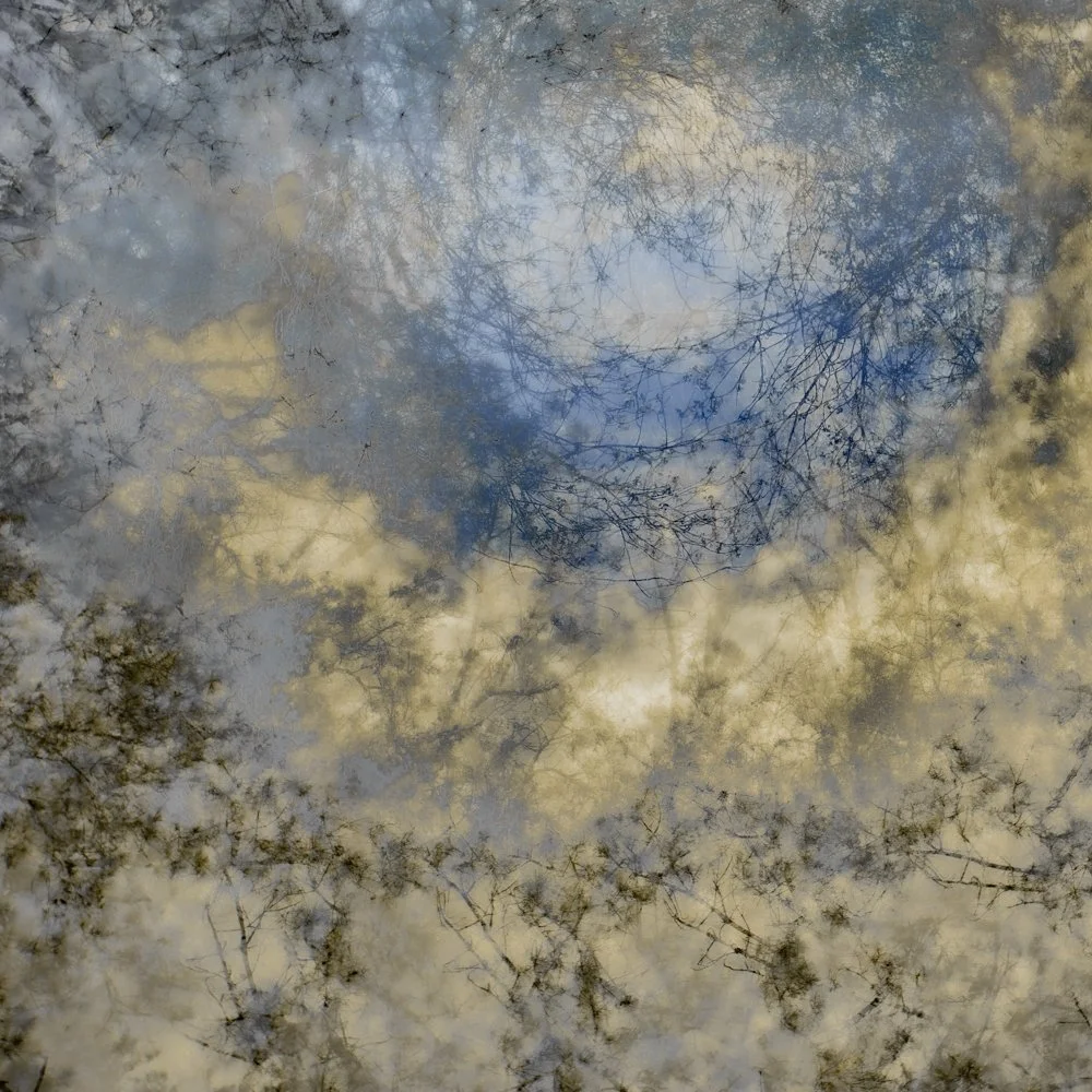 Motion Revised-2.jpg