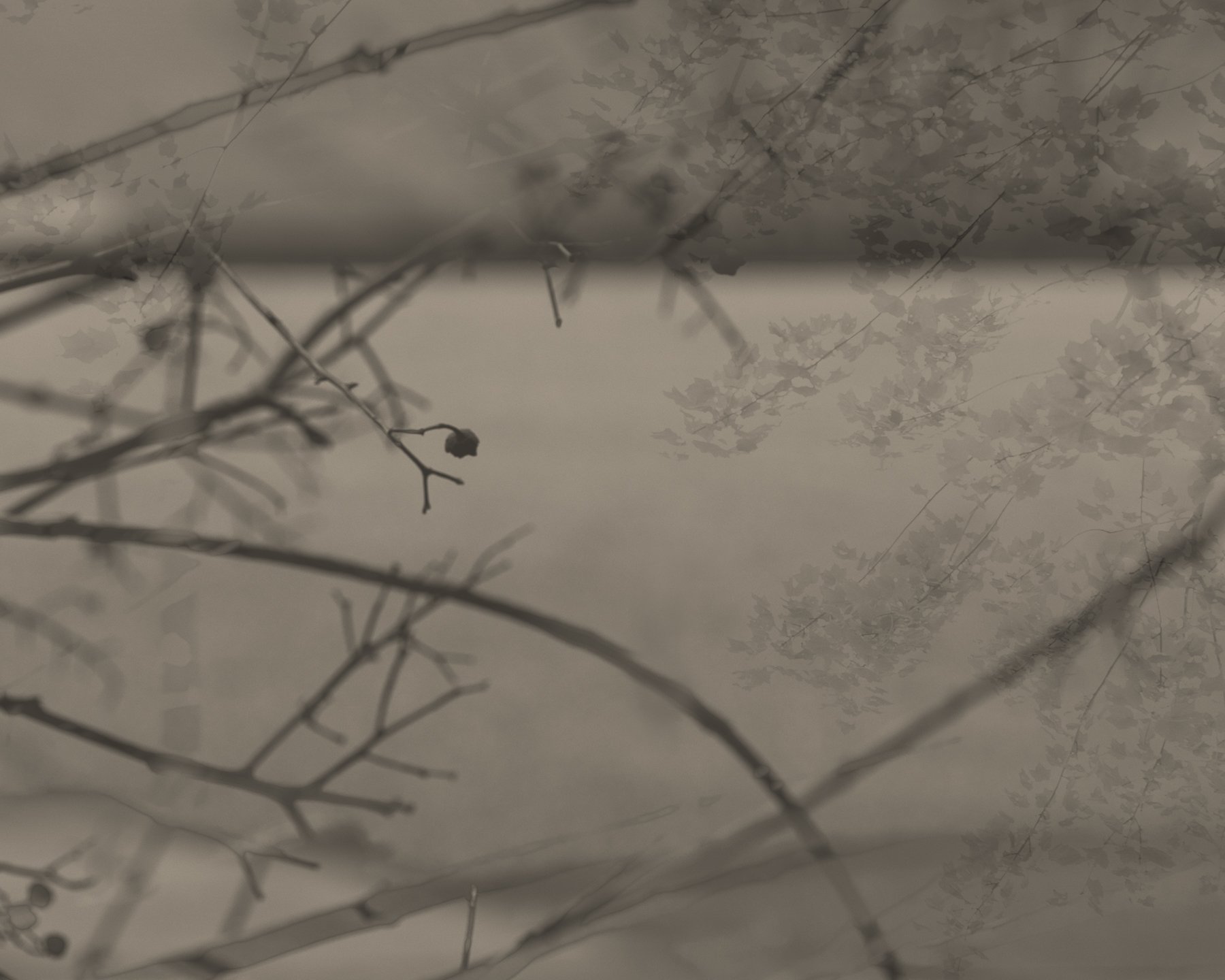 Image-6.jpg
