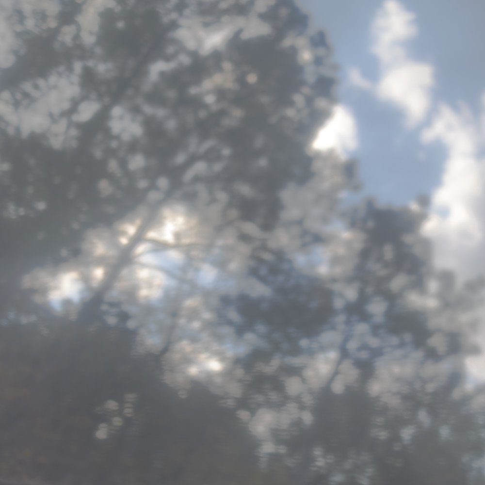 Motion Revised-3.jpg