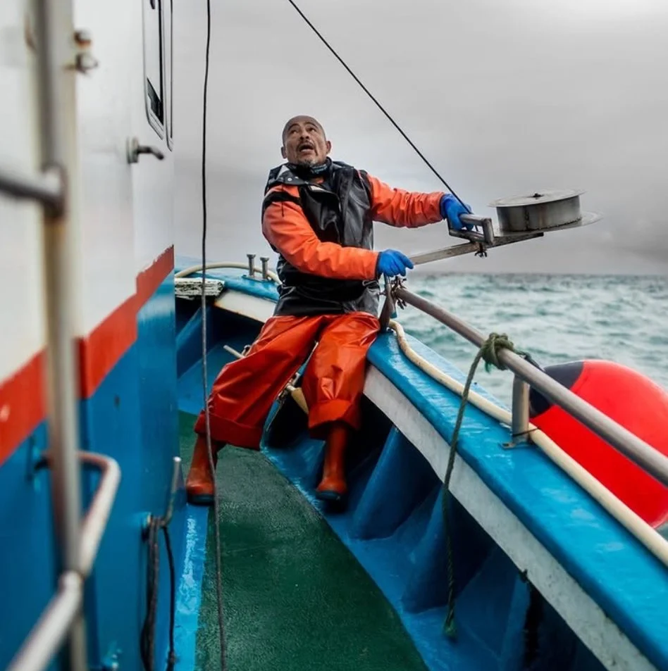 Launching Patagonia Workwear