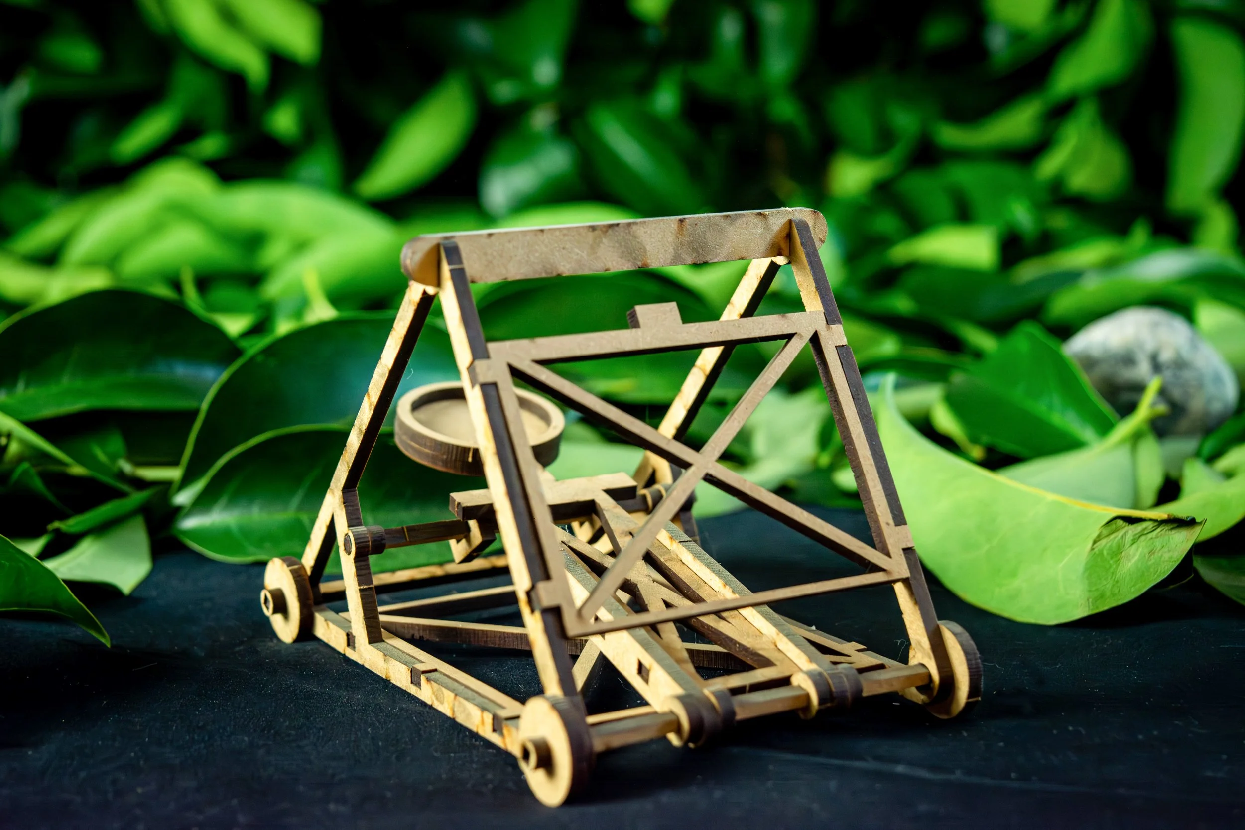 Catapult - DIY Kit