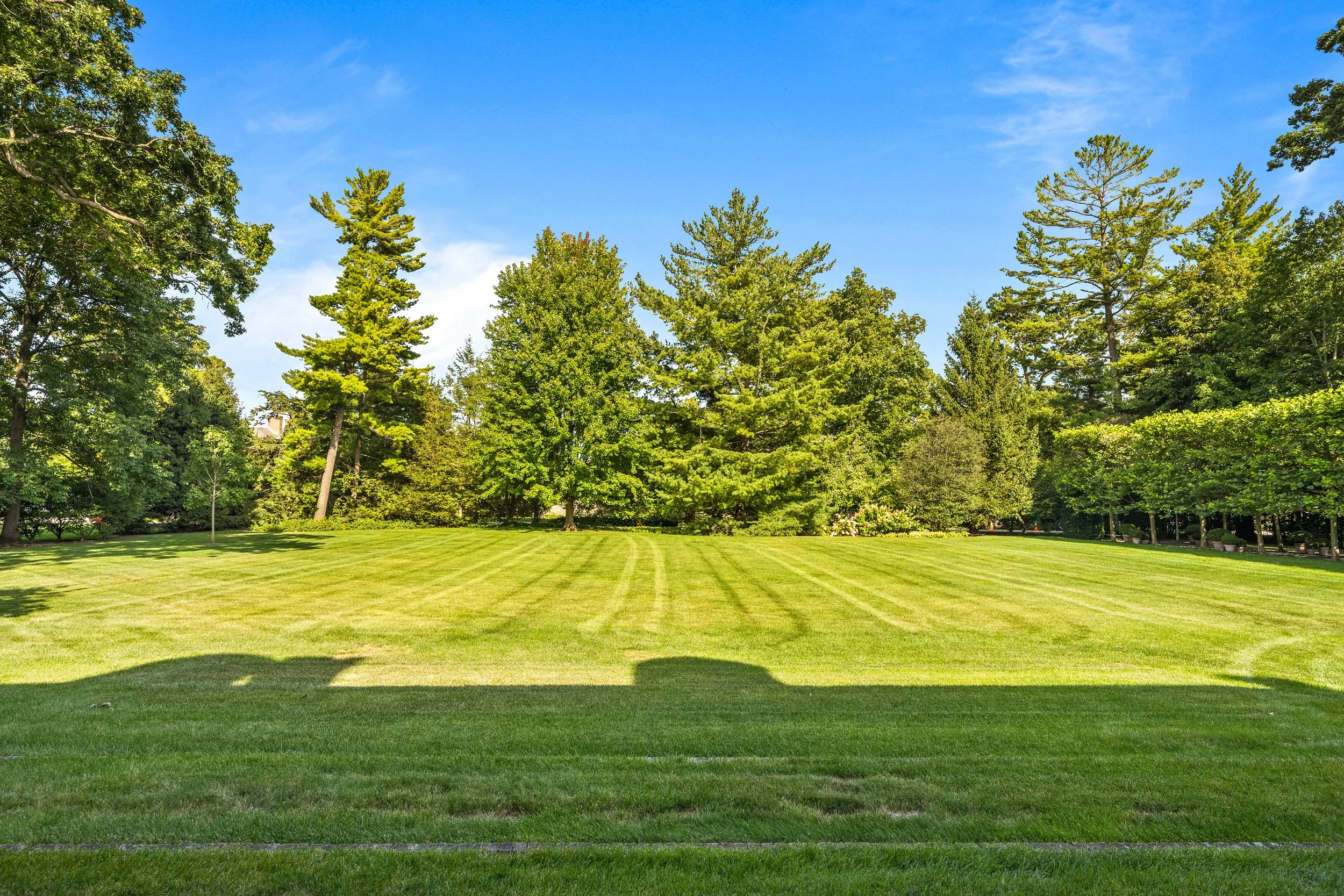 A well-maintained grassy park with a large lawn, surrounded by various tall green trees under a clear blue sky.