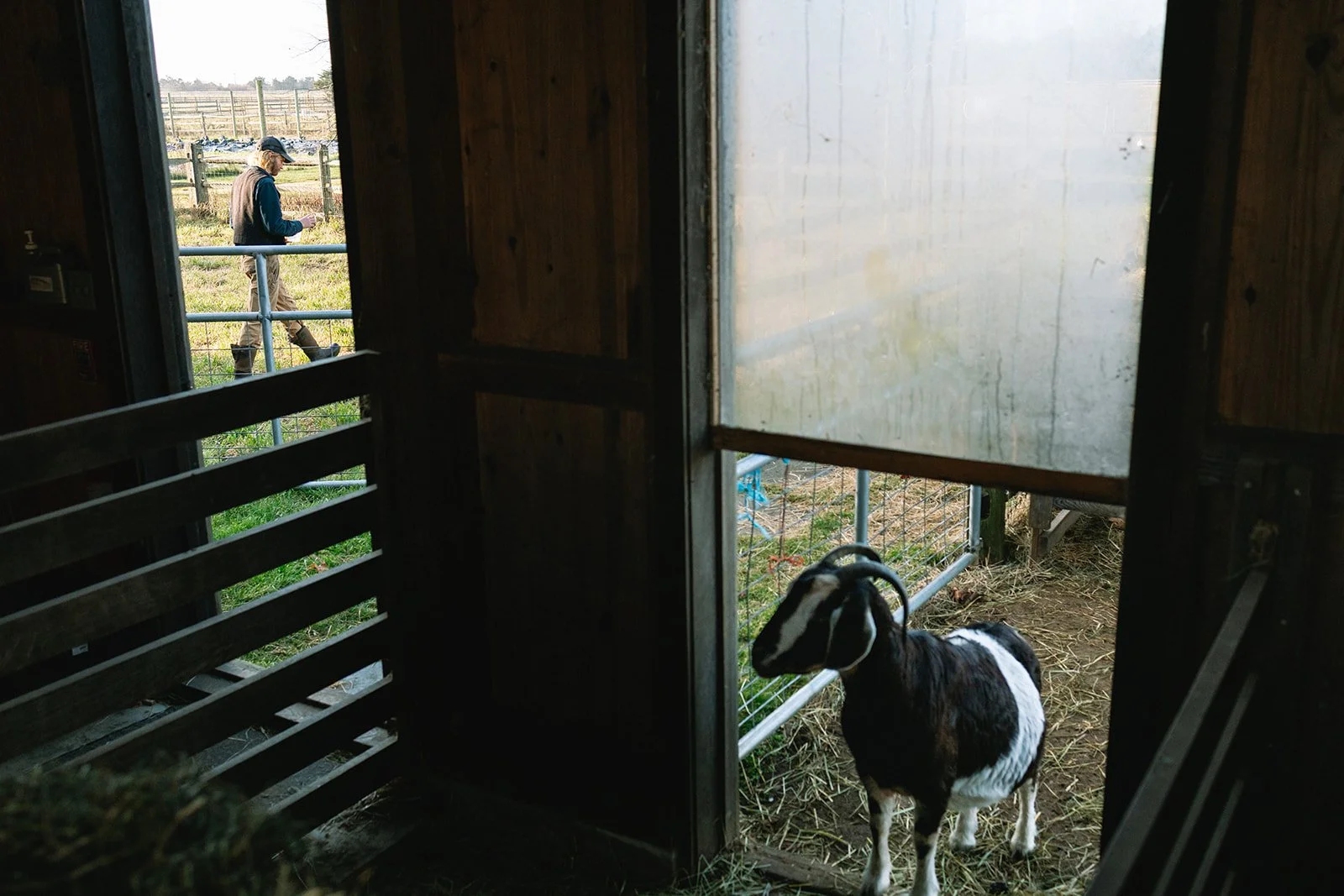 slough_farm_christian_sheny_leon_marthas_vineyard023.jpg