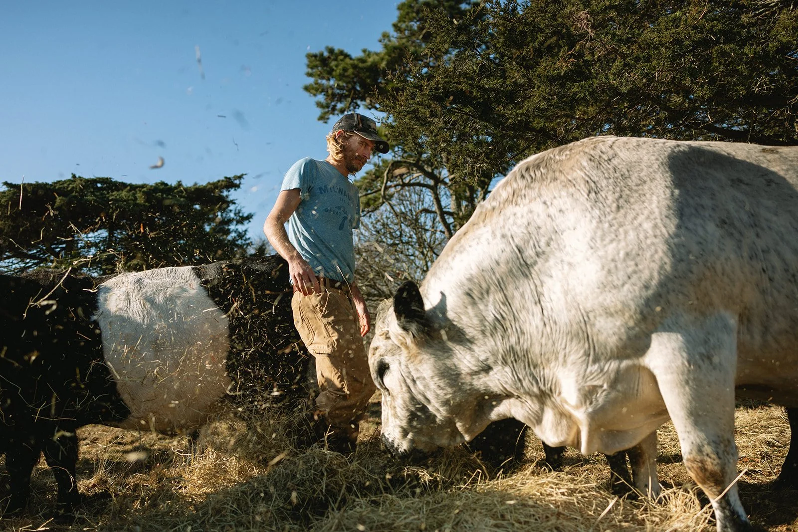 slough_farm_christian_sheny_leon_marthas_vineyard087.jpg