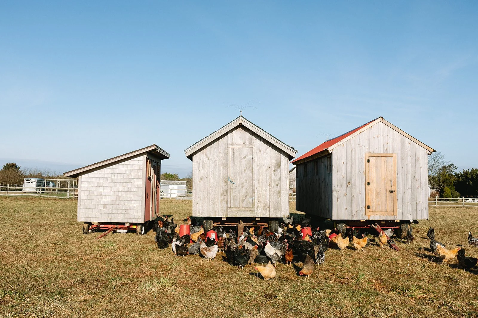 slough_farm_christian_sheny_leon_marthas_vineyard060.jpg