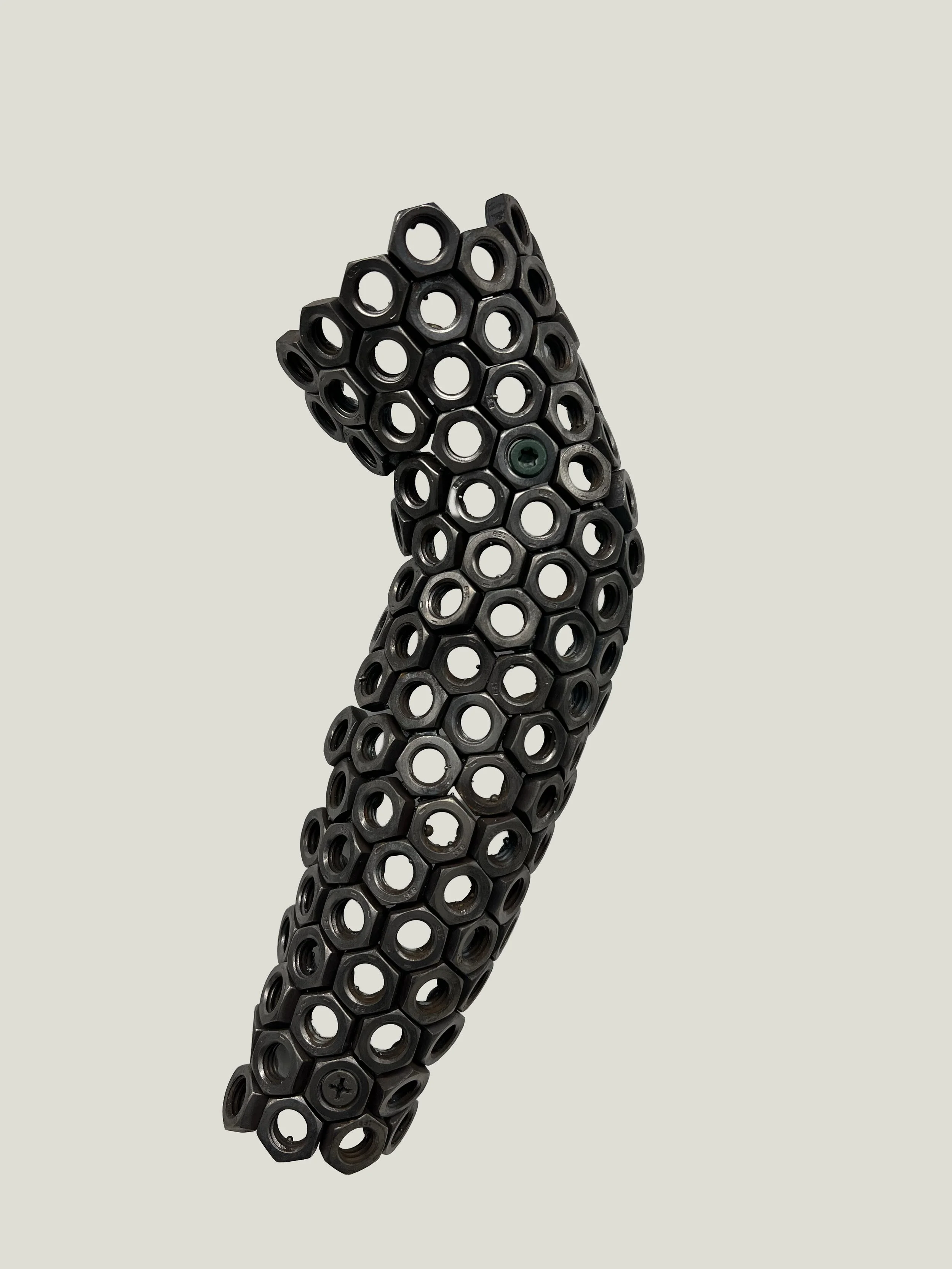 C. Margarita, Arm, 2025