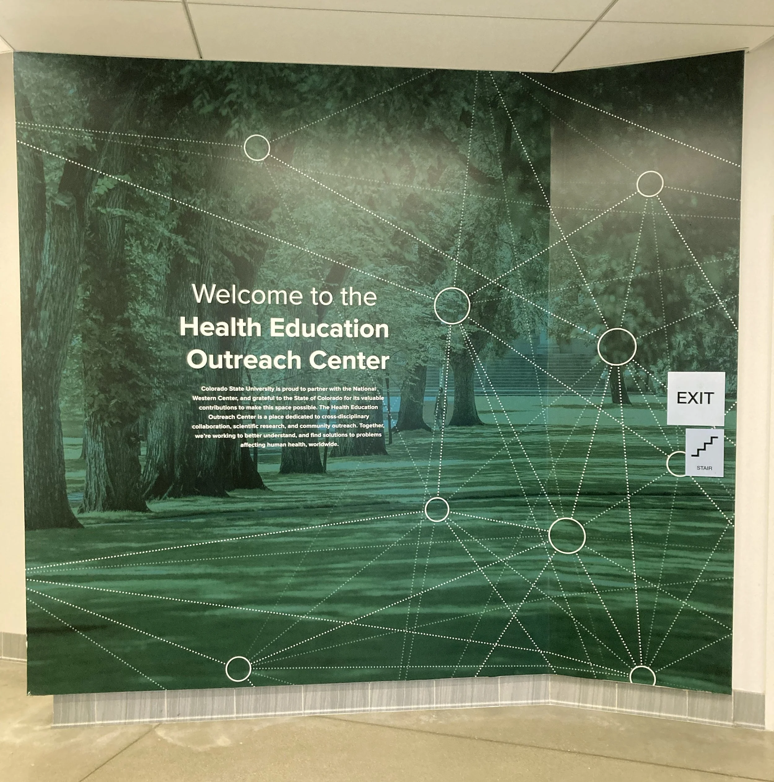Wall graphic with connecting lines.