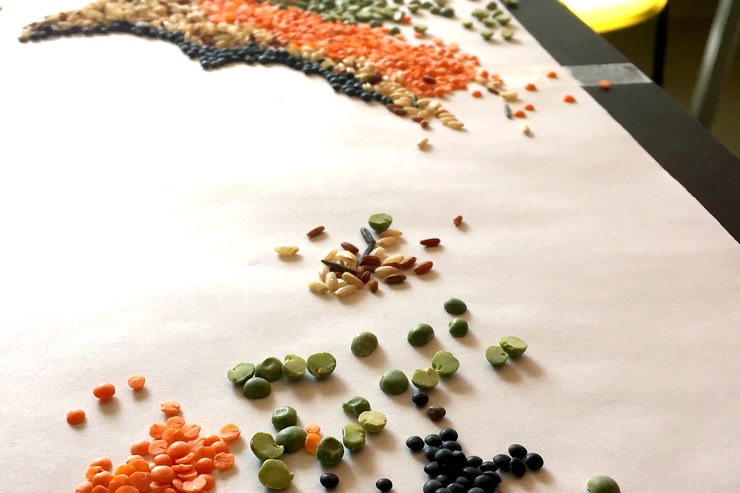 Various legumes, grains, and lentils.