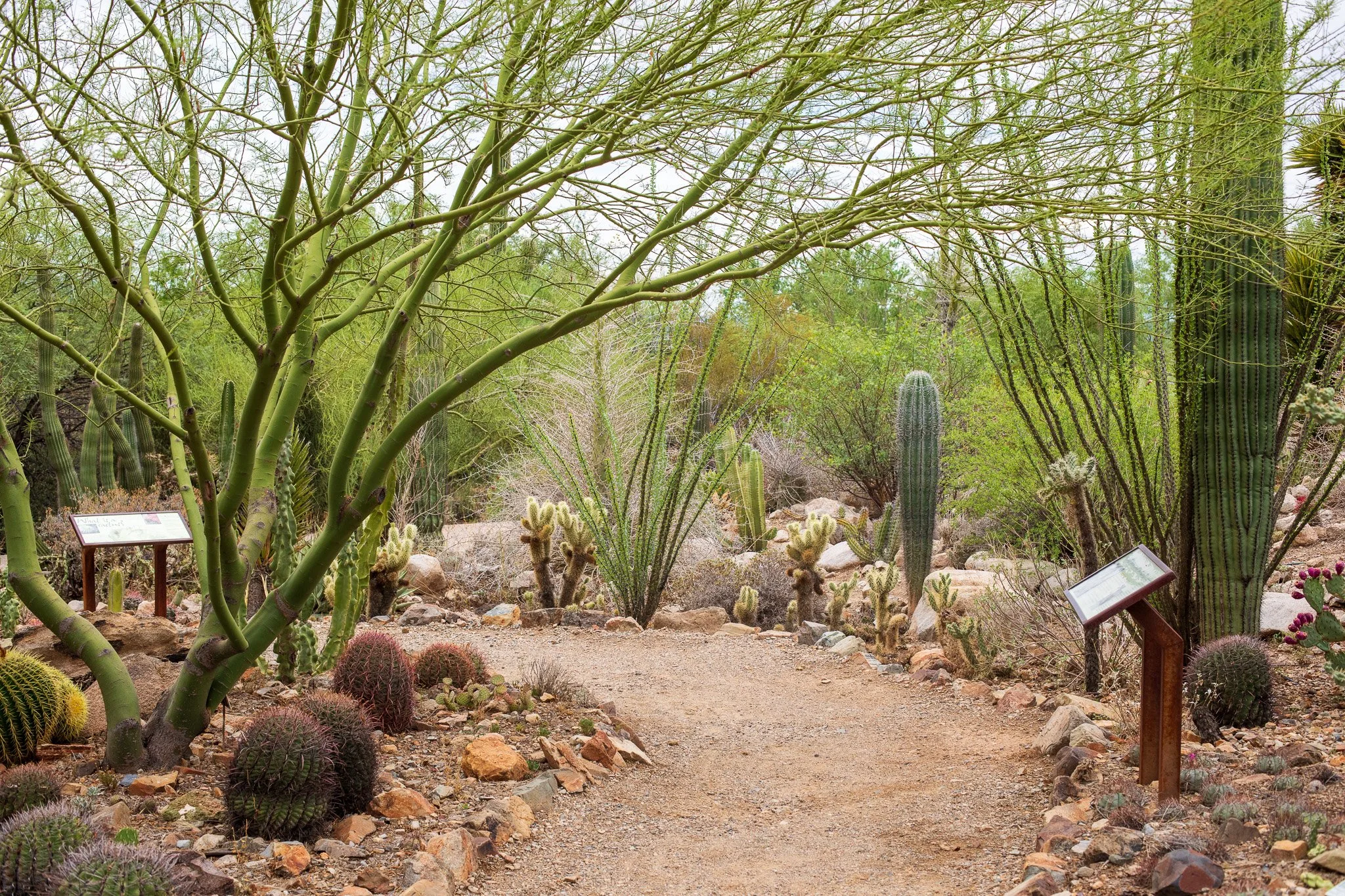 Signage at the desert museum.