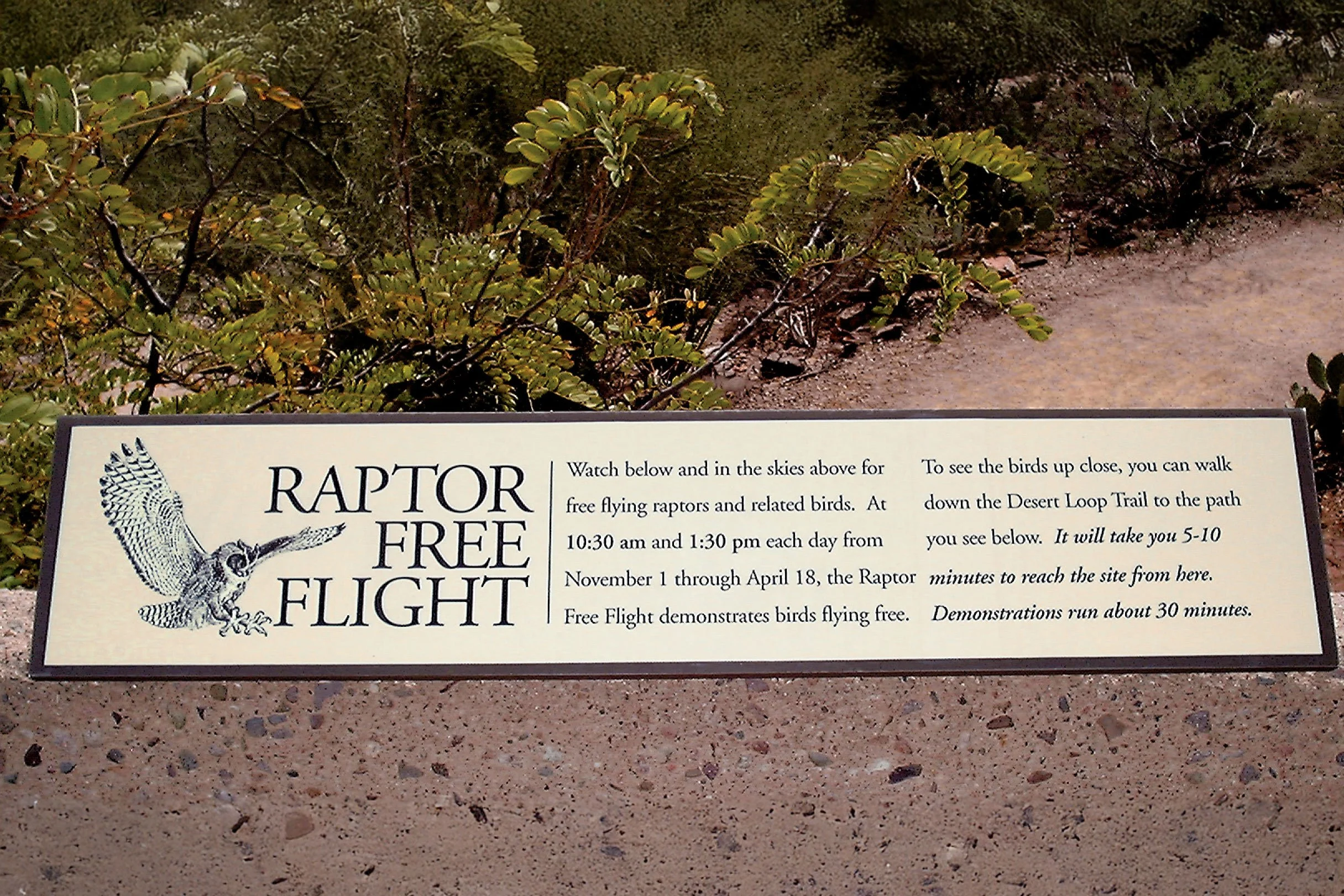 Raptor Free Flight sign.