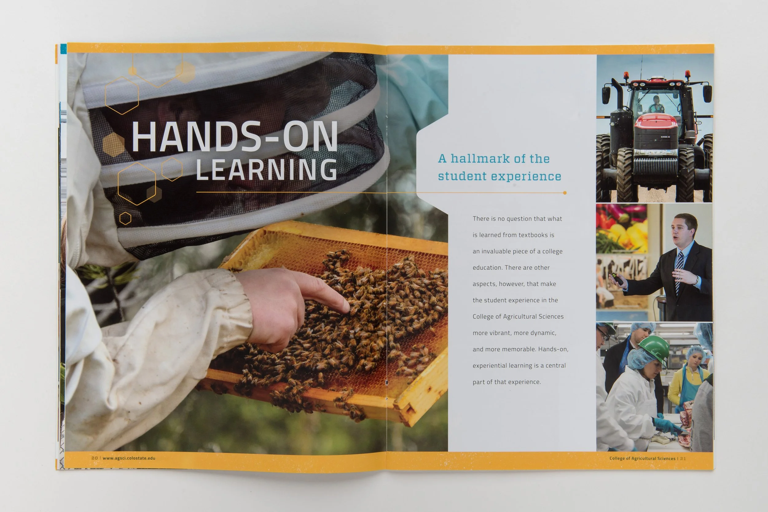 College of Agricultural Sciences Food for Thought magazine.