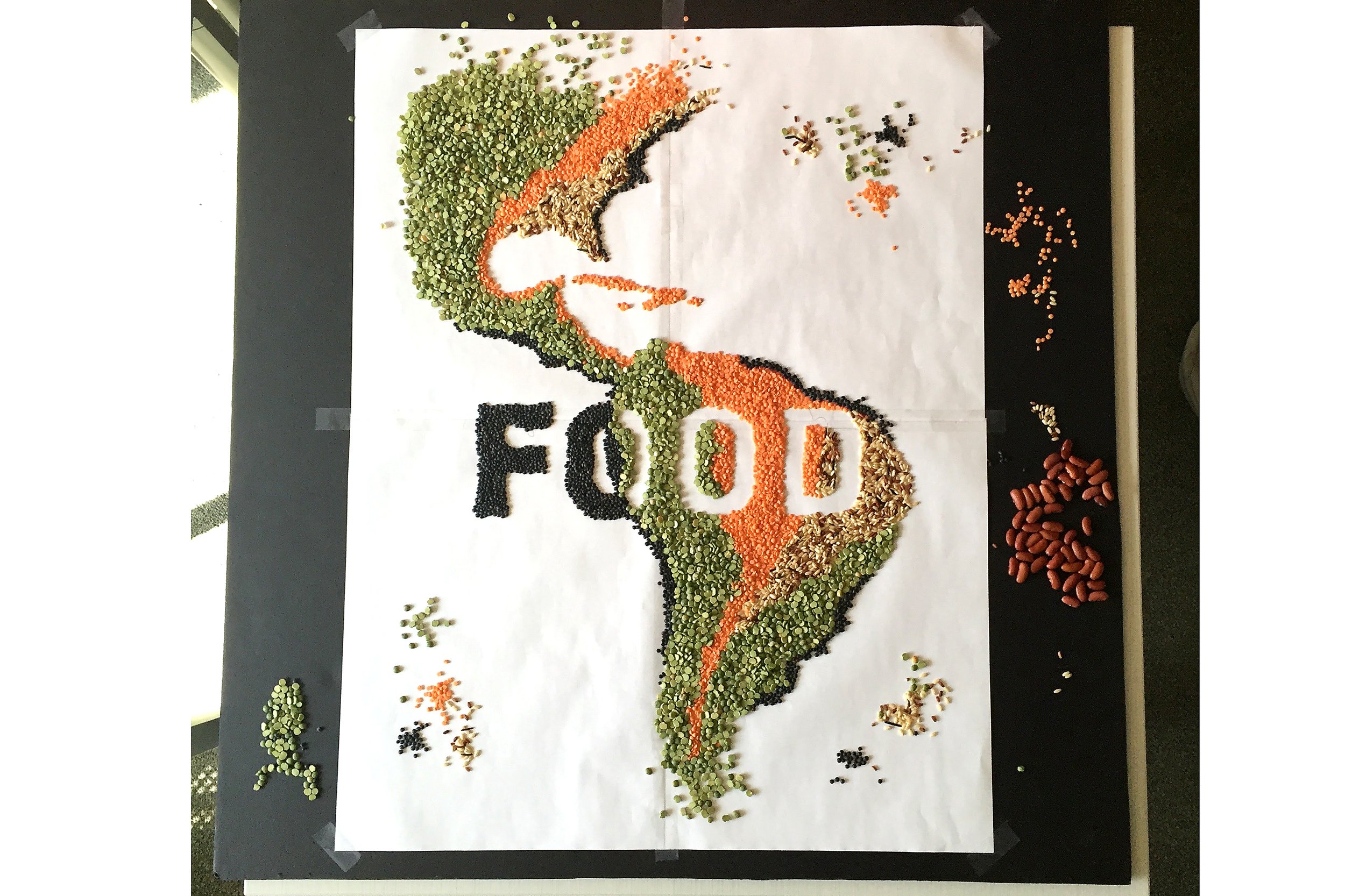 Legume assembly for poster. 