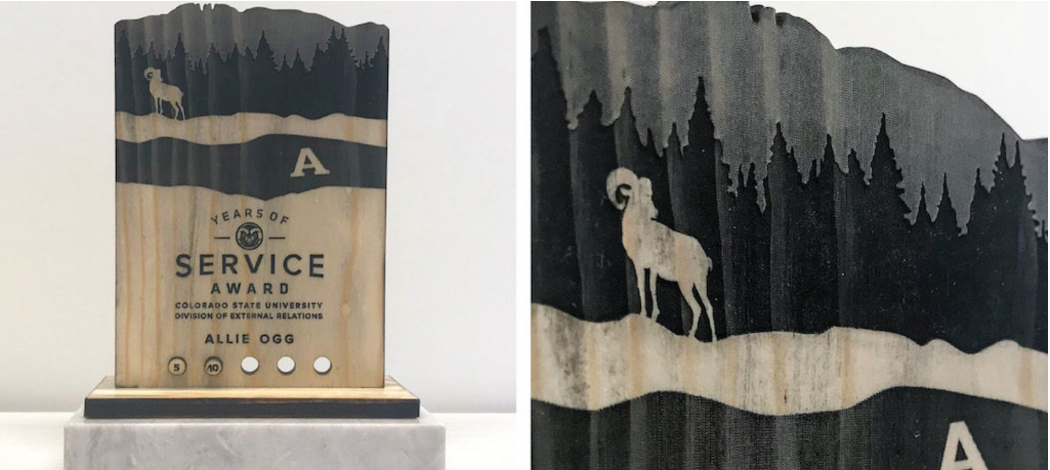 Division of External Relations Service Award, which earned University and College Designers Association (UCDA), Award of Excellence, 2018.