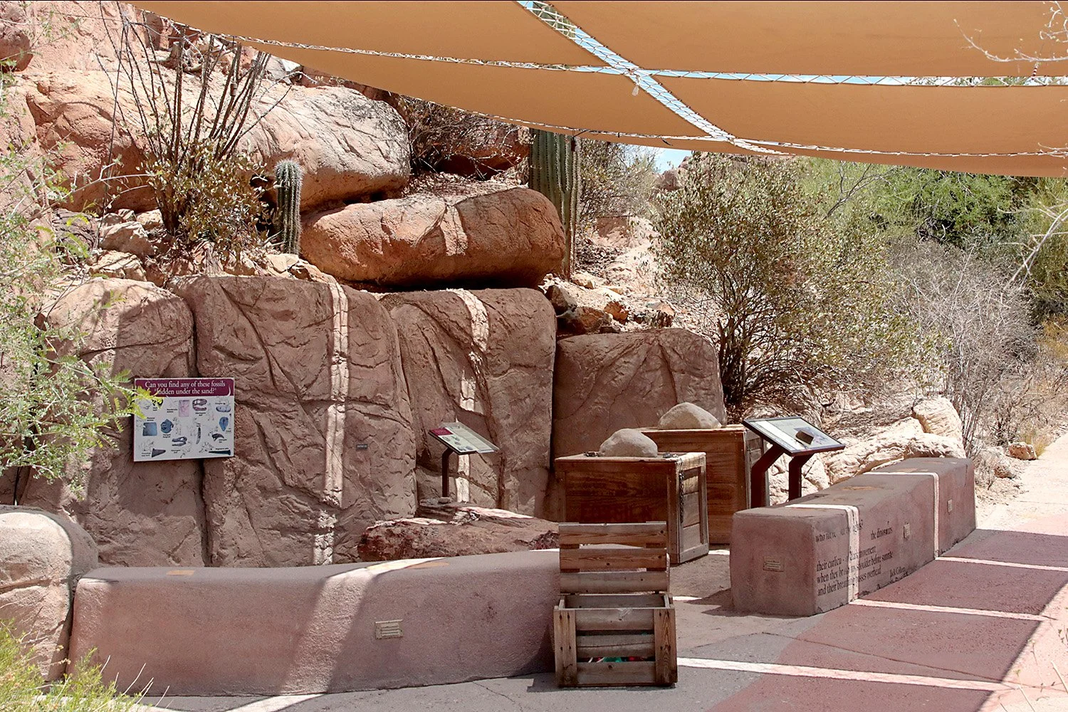 Ancient Arizona geology exhibit.
