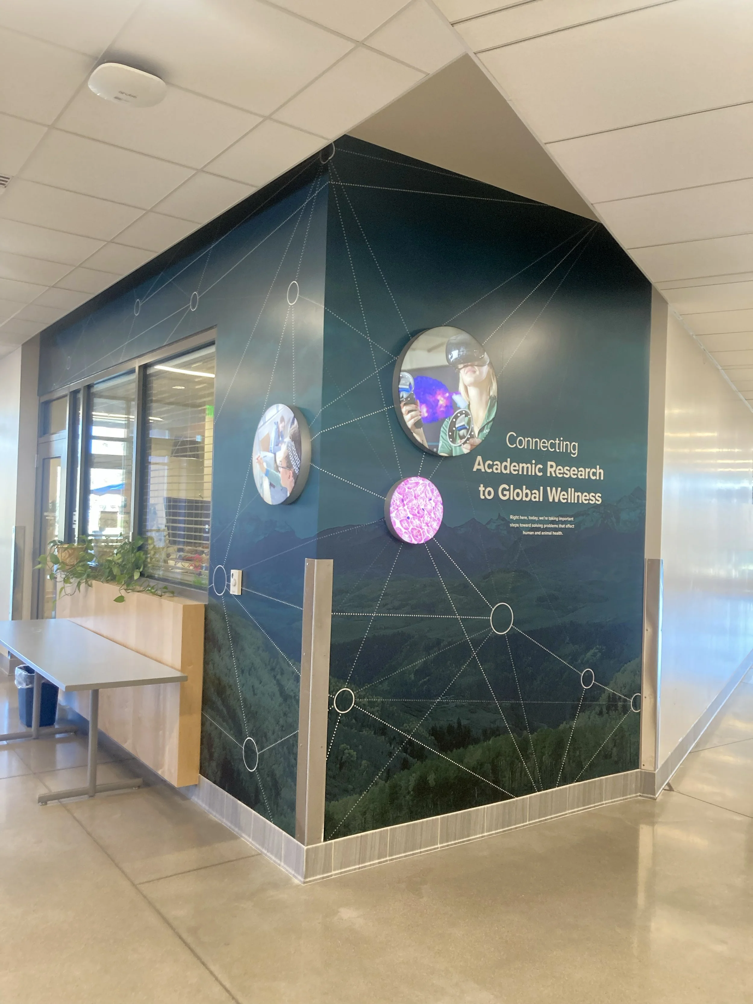 Wall graphic corner.