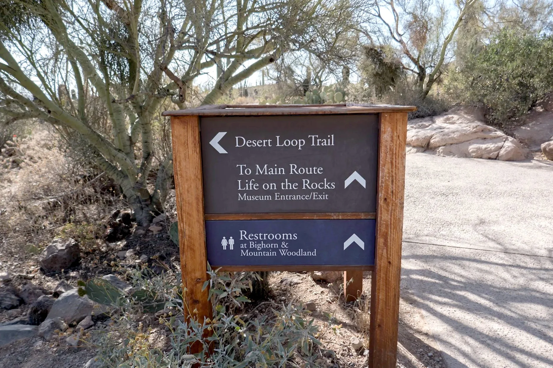 Directional signage at the desert museum.