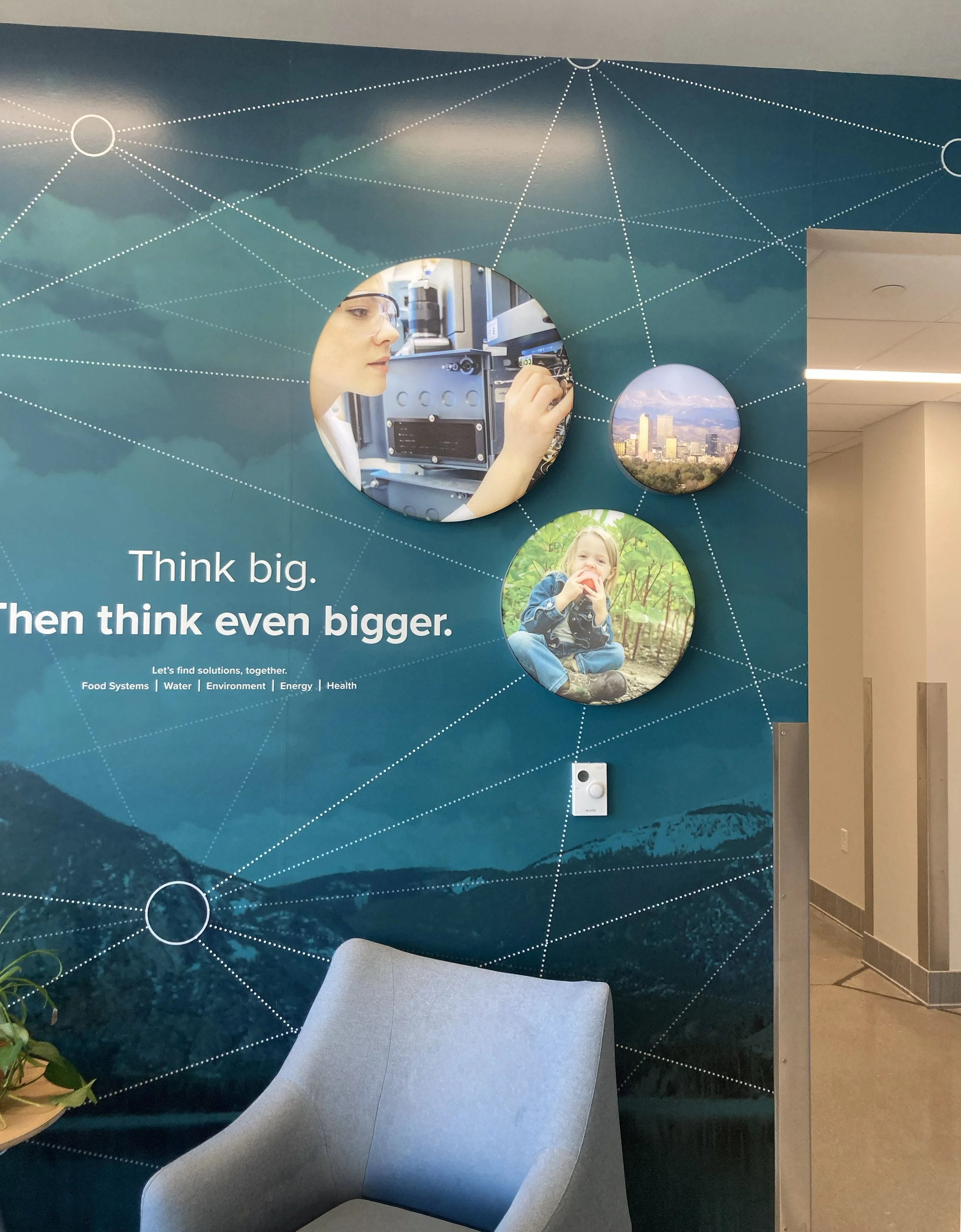 Wall graphic and circle light boxes.