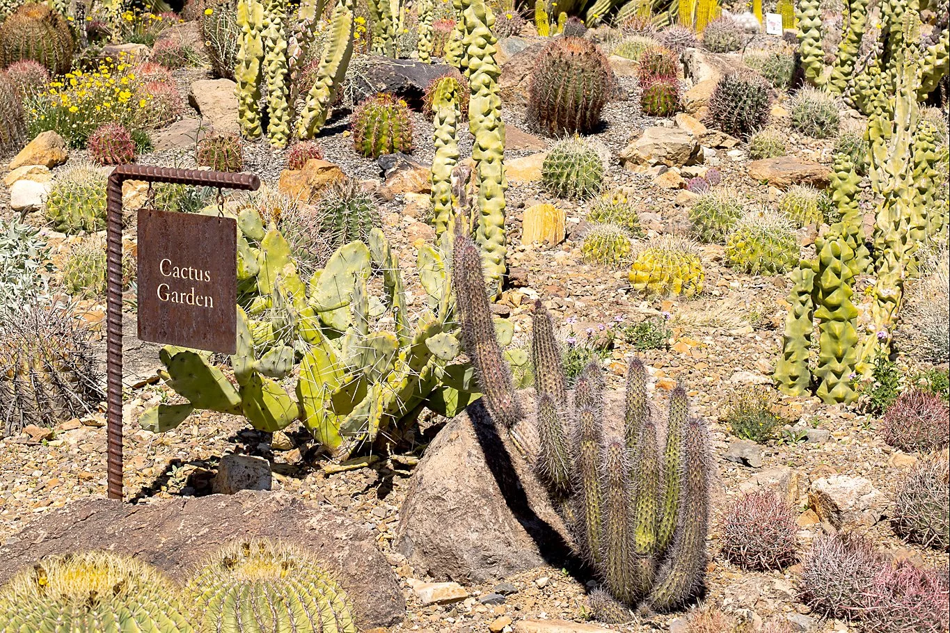 Cactus Garden signage.