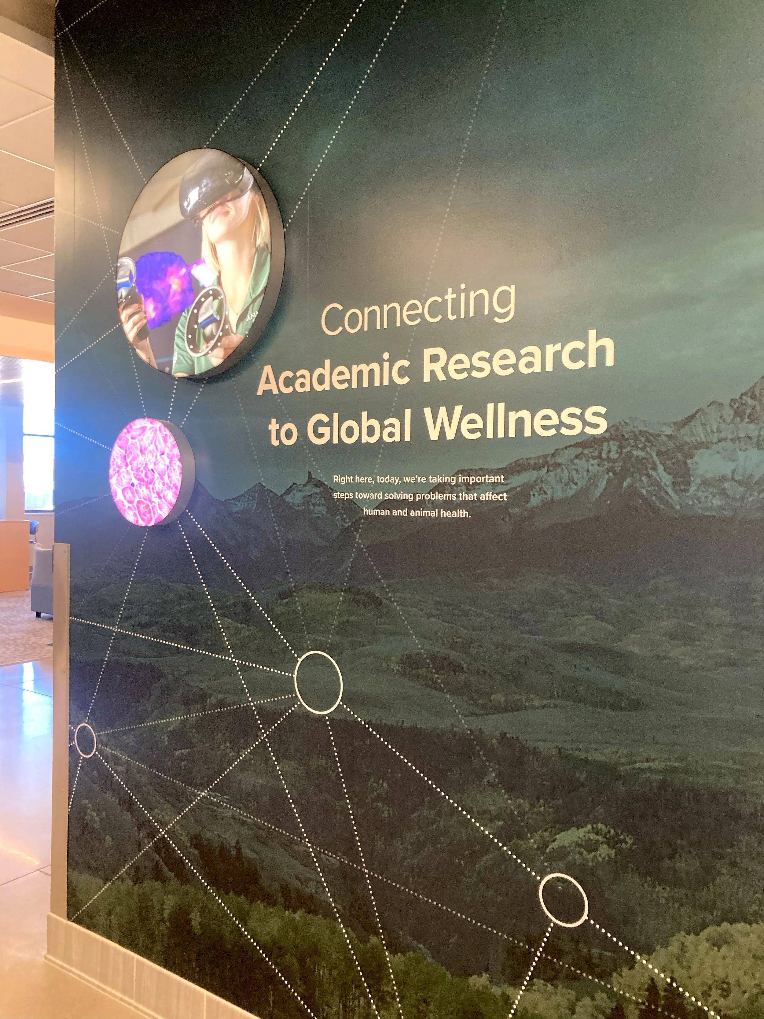 Wall graphic with connecting lines.