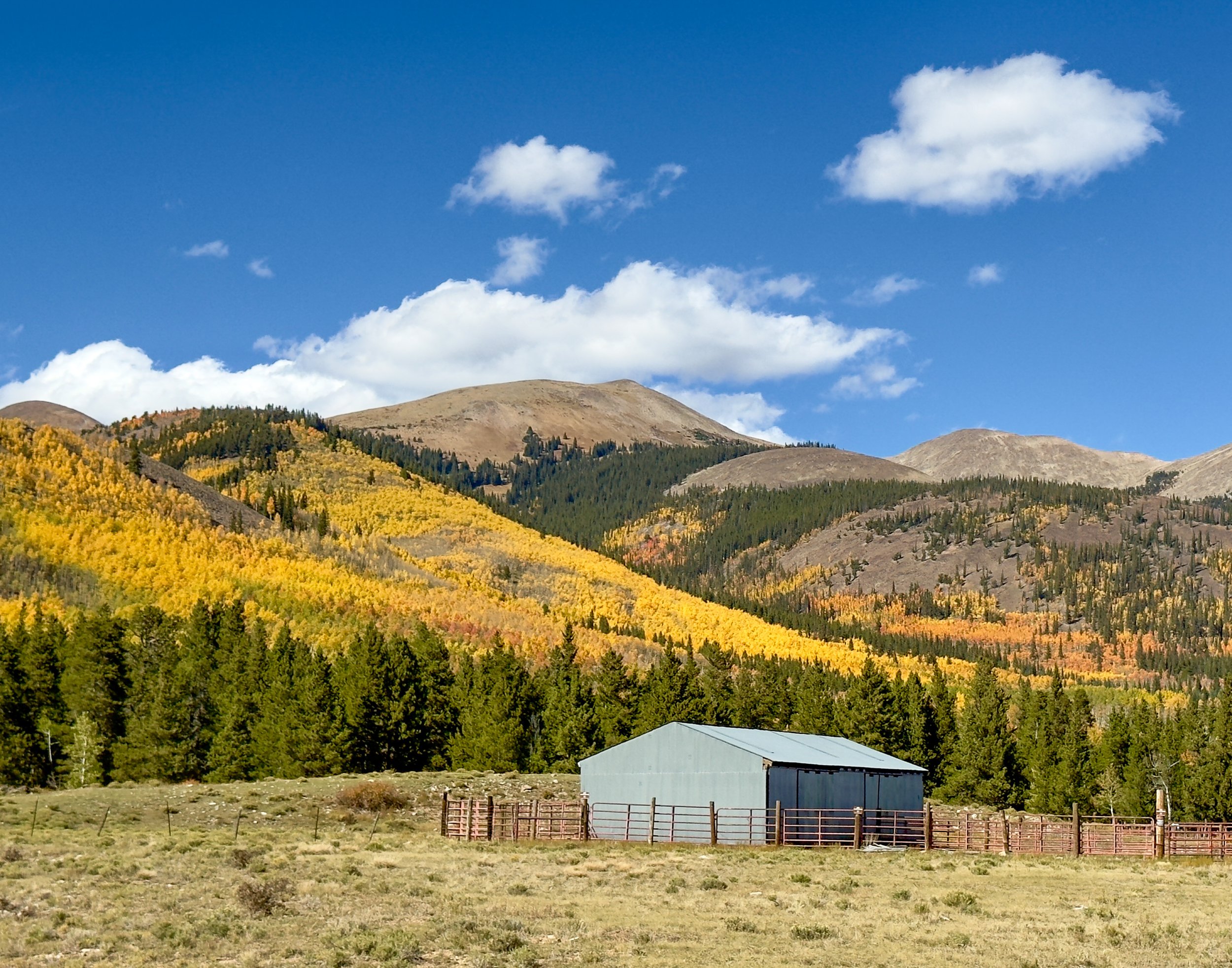 High Country Gold Rush