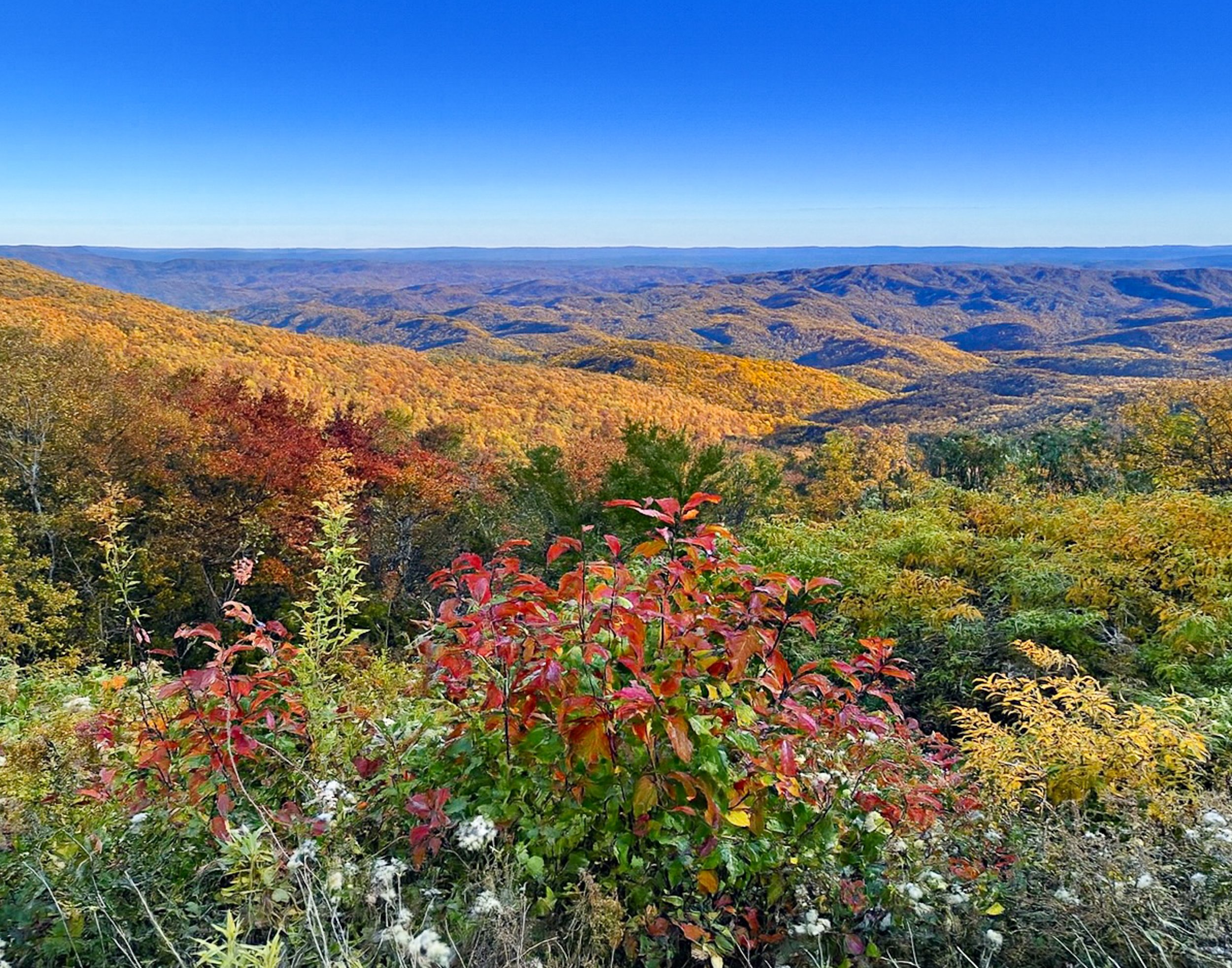 Blue Ridge Autumn Palette