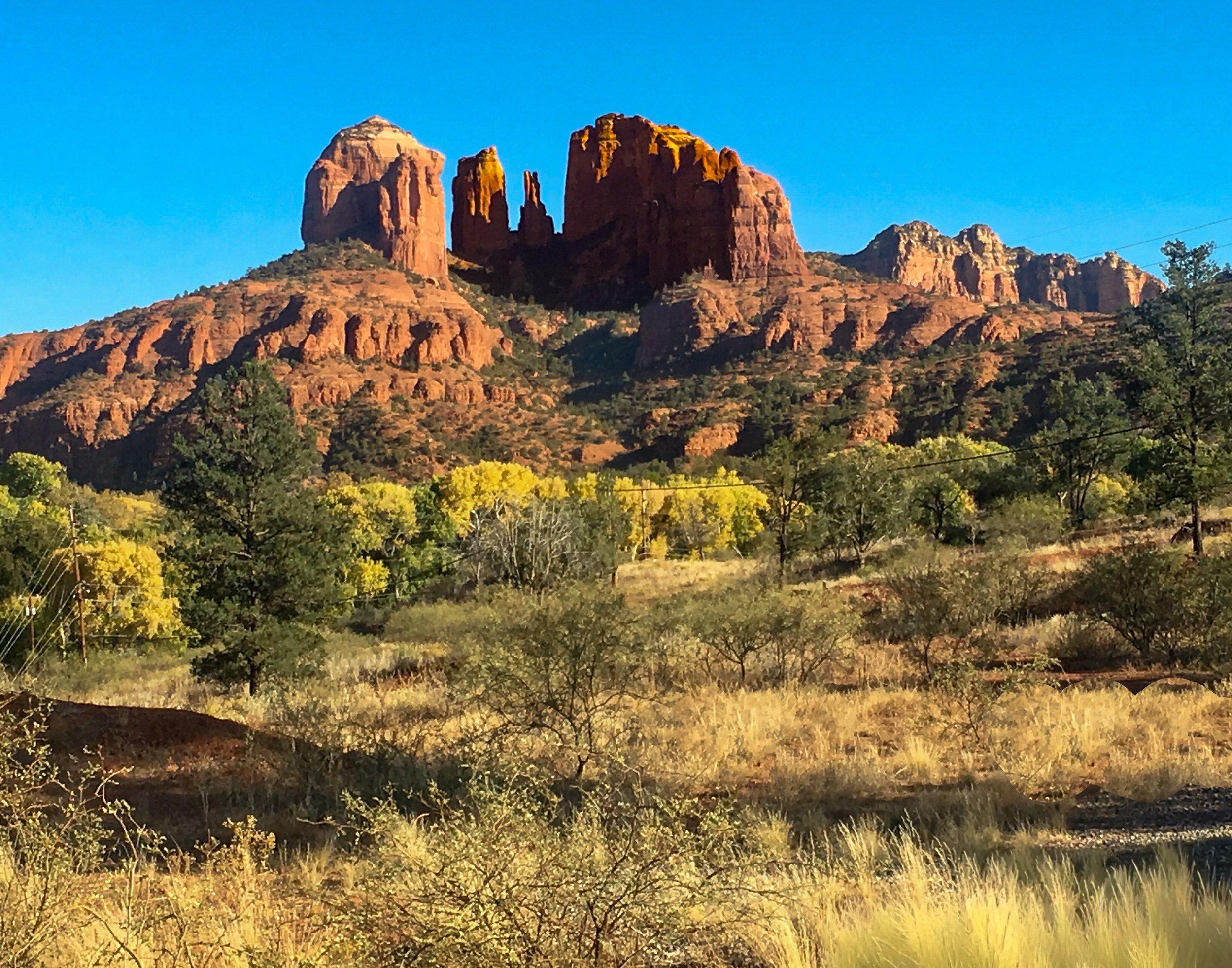 The Cathedral’s Glow