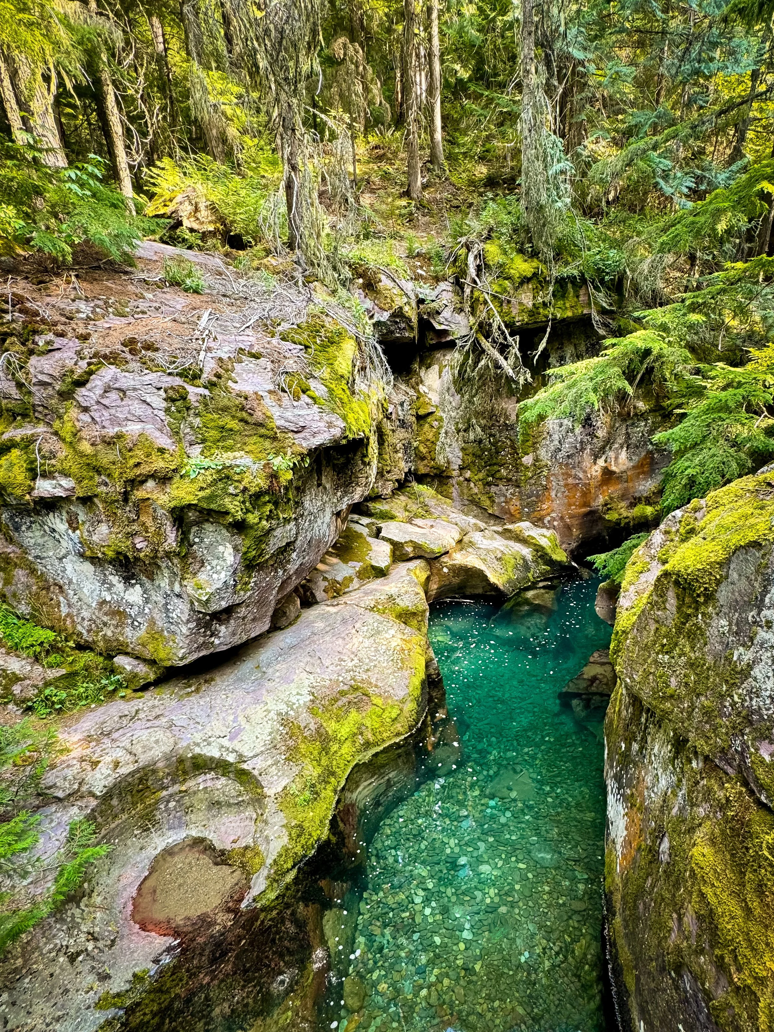 A clear, turquoise creek flows through a rocky, moss-covered canyon surrounded by lush green forest.