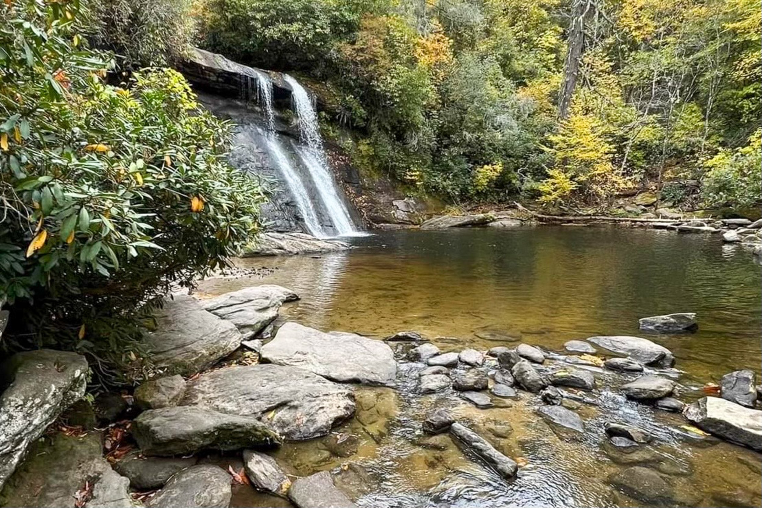 A small waterfall flowing into a shallow pond surrounded by rocks and green trees with yellow leaves in a forested area.