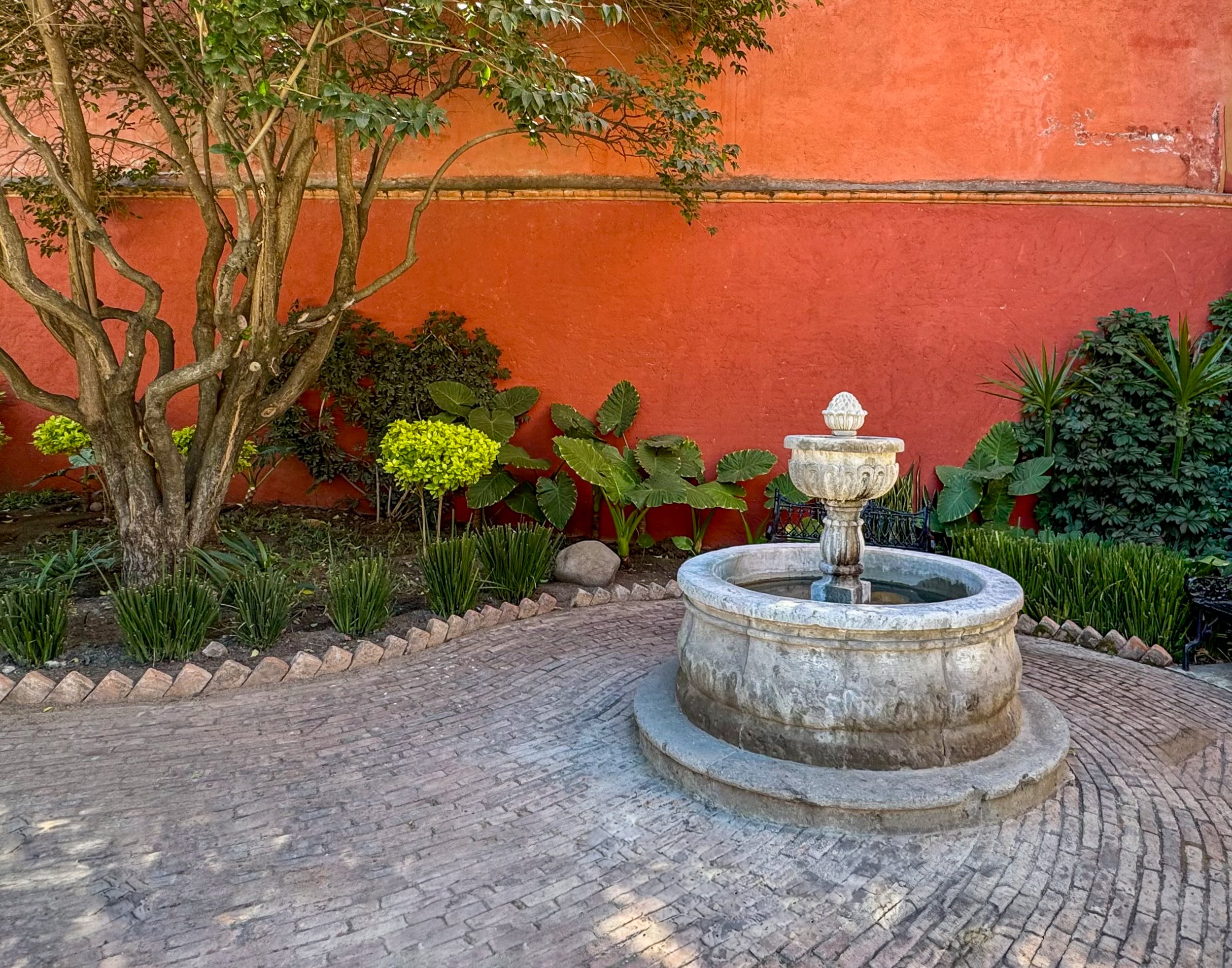 El Corazón del Patio