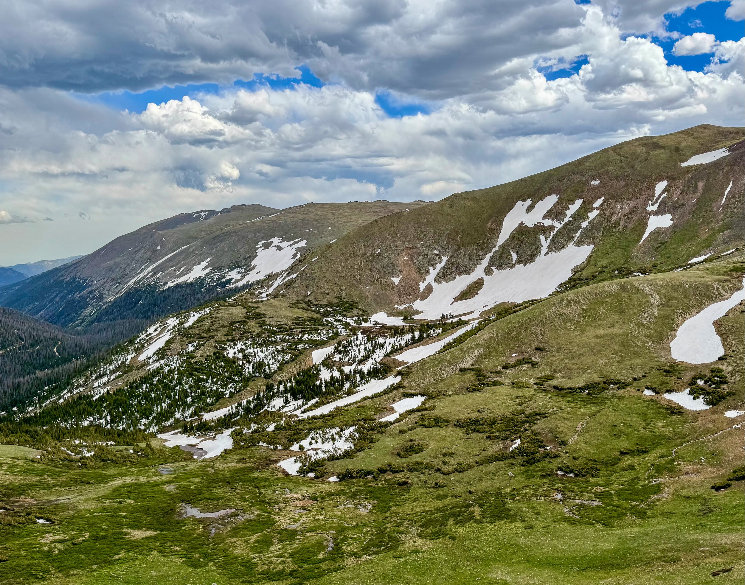 Alpine Tundra