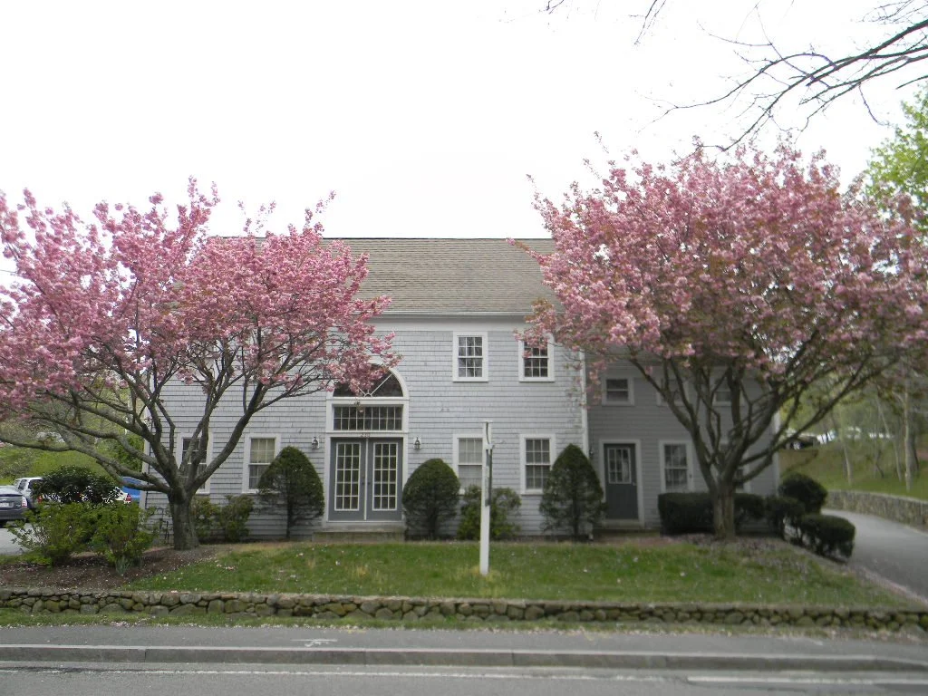 A white, two-story house with a gabled roof, surrounded by pink flowering trees and bushes, on a street with a stone retaining wall and parked cars in the background.