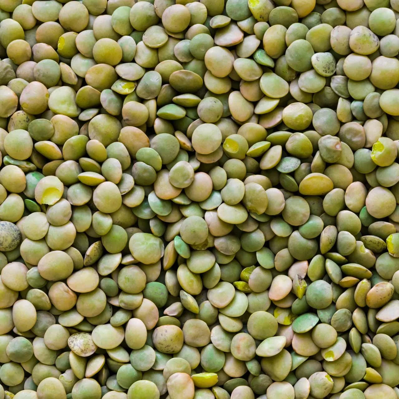 Green Lentils