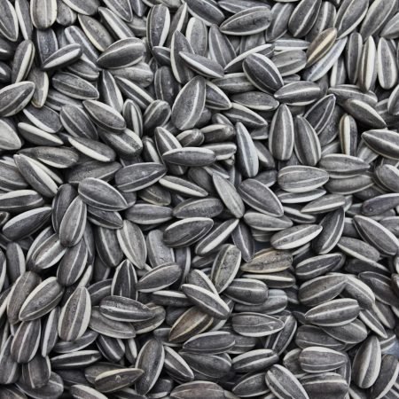 Sunflower Seeds