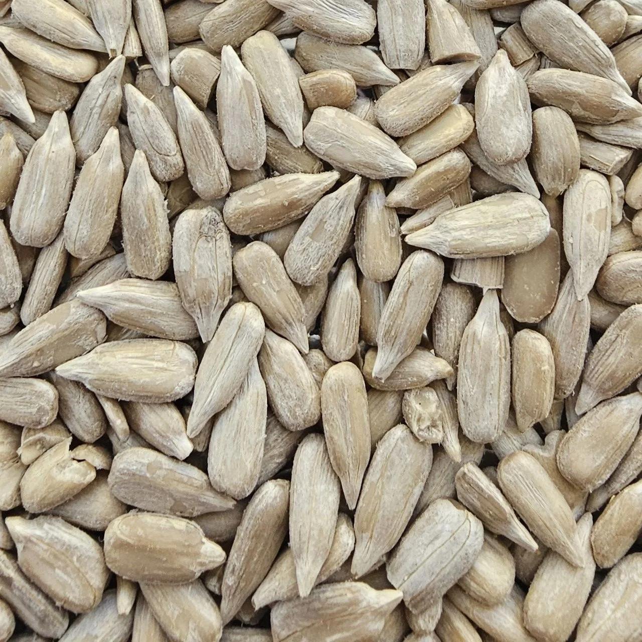 Sunflower Kernels