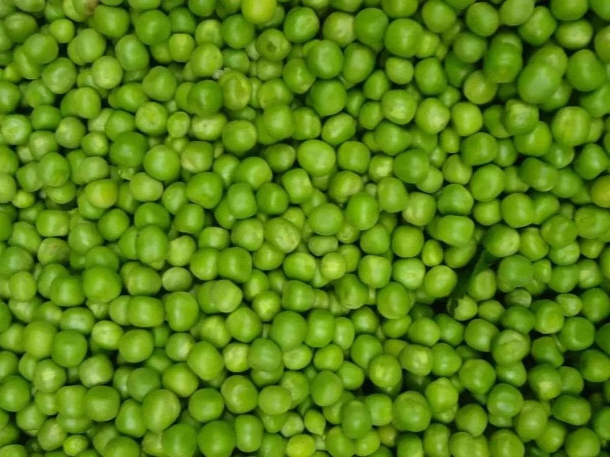 Green Peas
