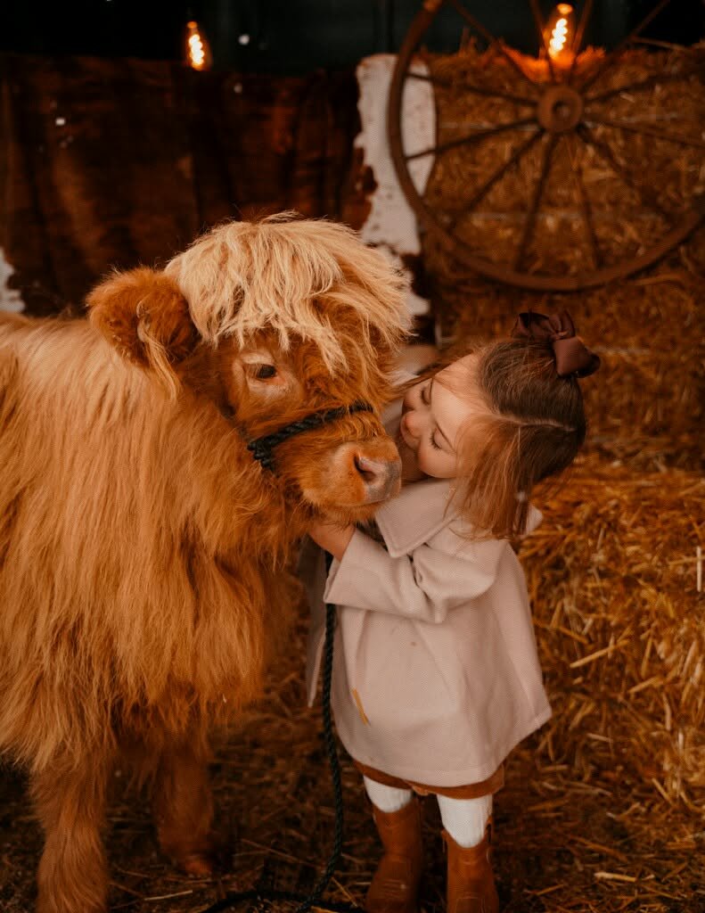 Professional photography