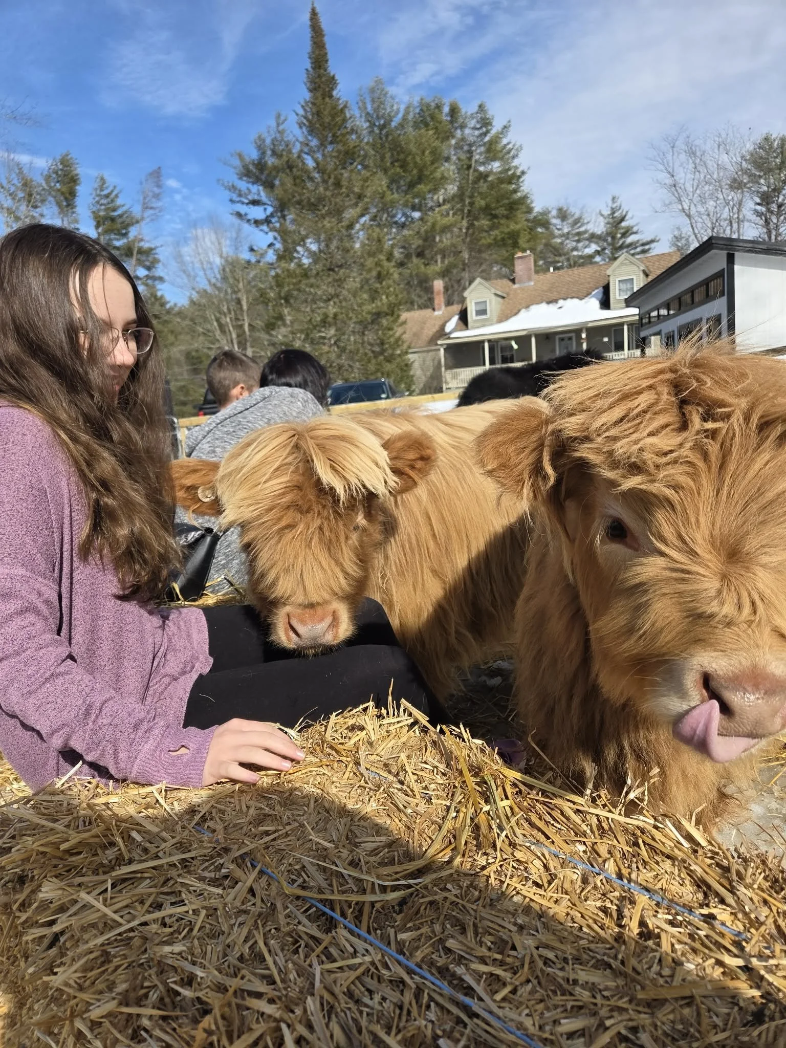 Meet and Greet ( 30 Minutes)                                      Gift cards now available