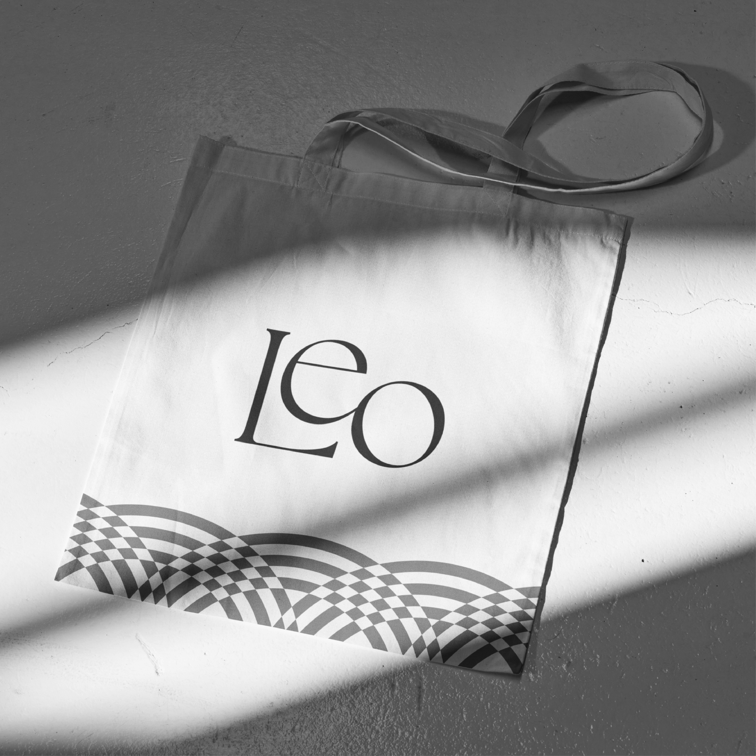 Website+Portfolio+Pictures+-+Leo+Tallahassee-08.png