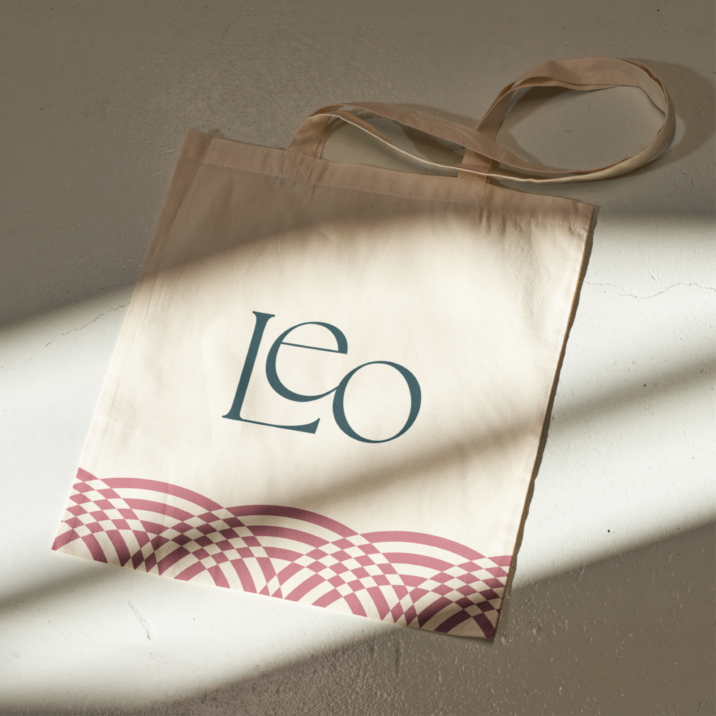 Website Portfolio Pictures - Leo Tallahassee-08.png