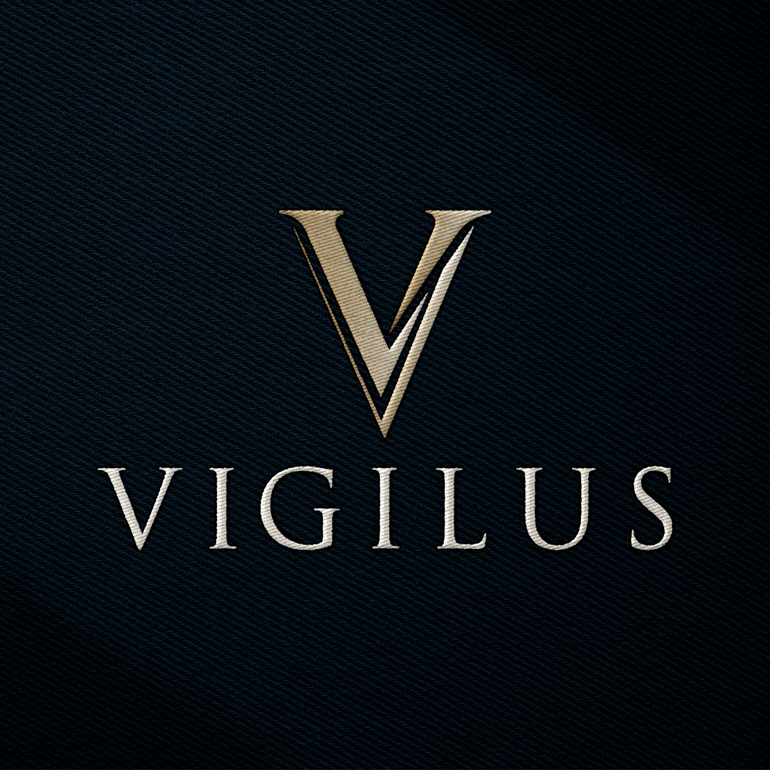 S&C026 - Vigilus Portfolio Pics-22.png