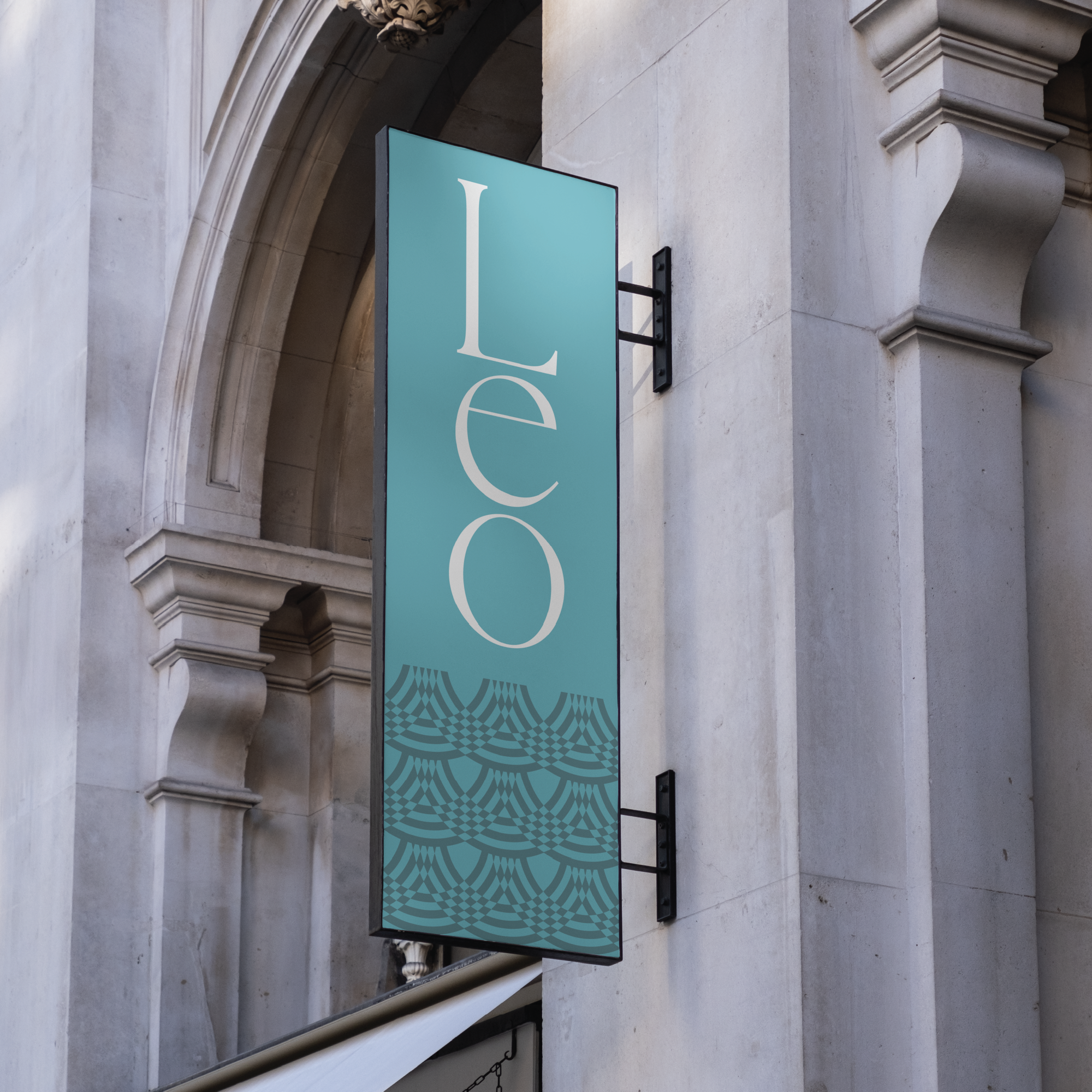 Website Portfolio Pictures - Leo Tallahassee-05.png